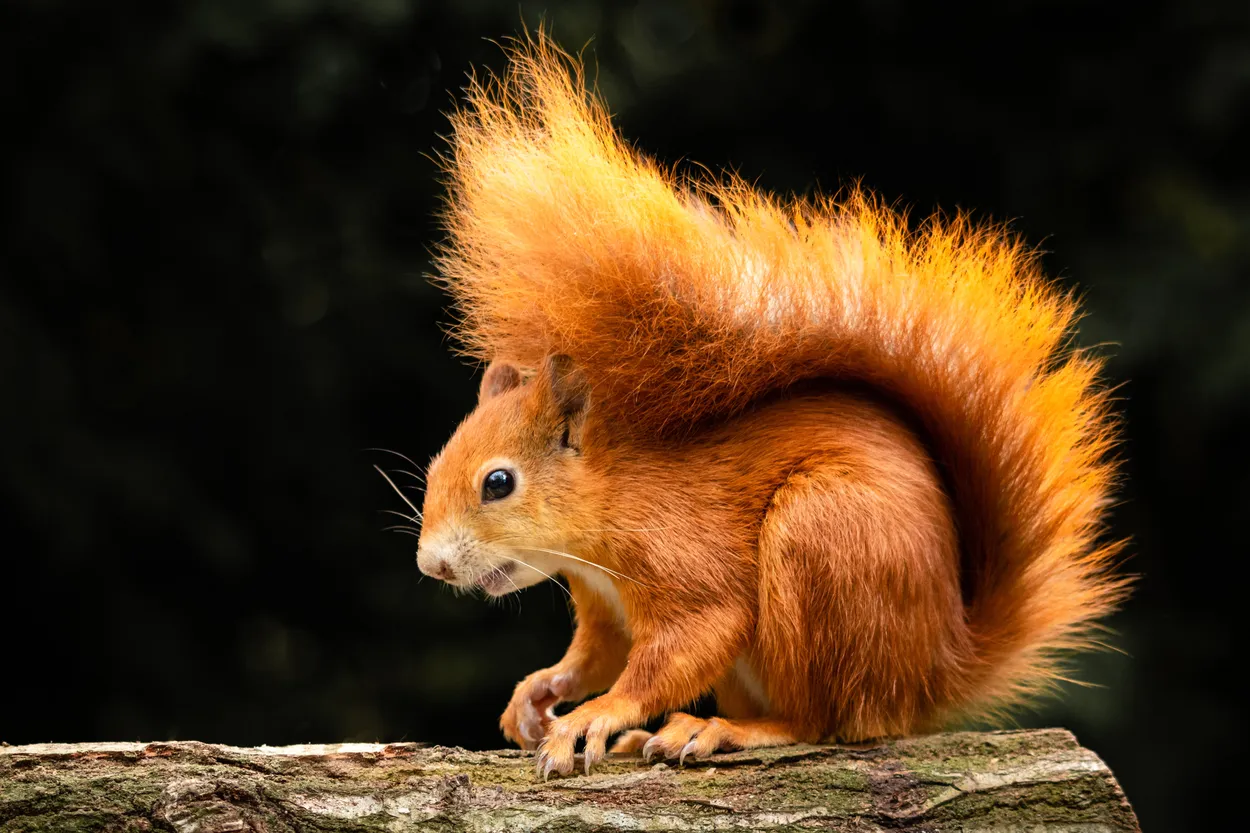 Entry 7893834