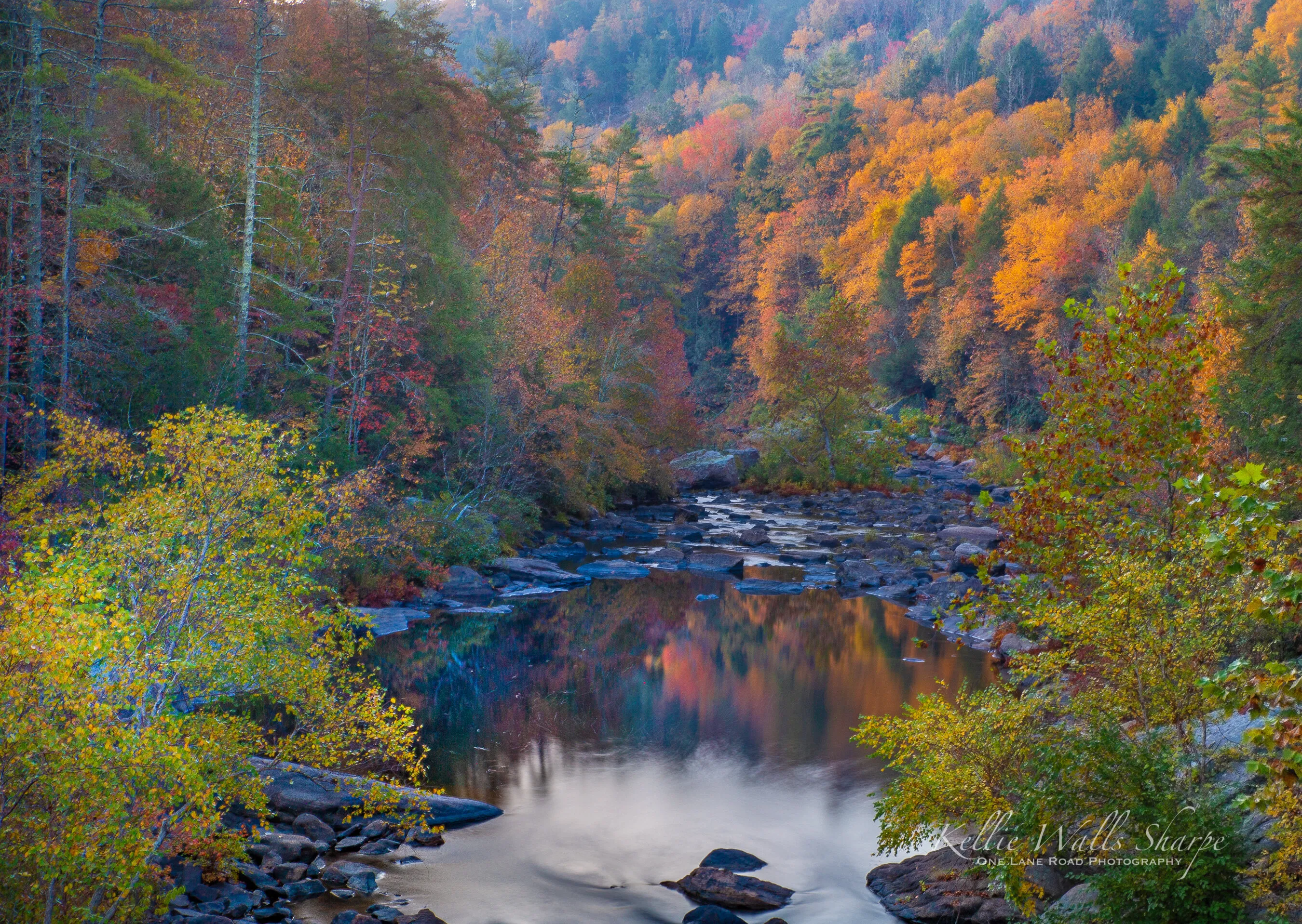 Reflections of Autumn