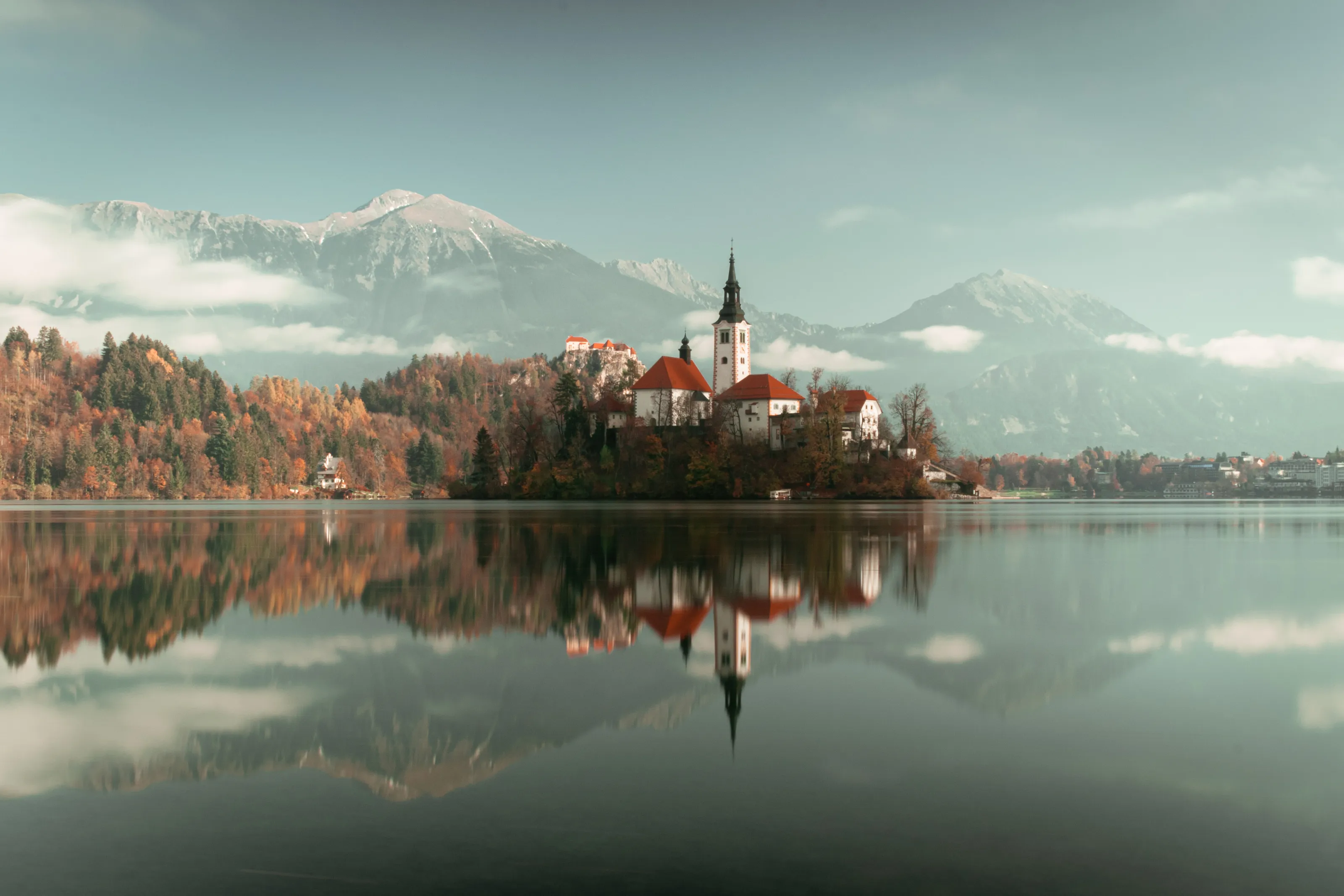 leafy Bled