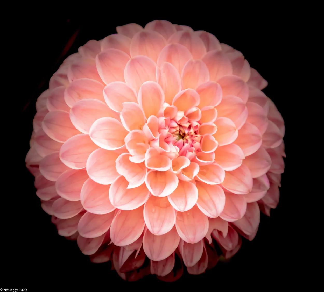 Entry 10406139