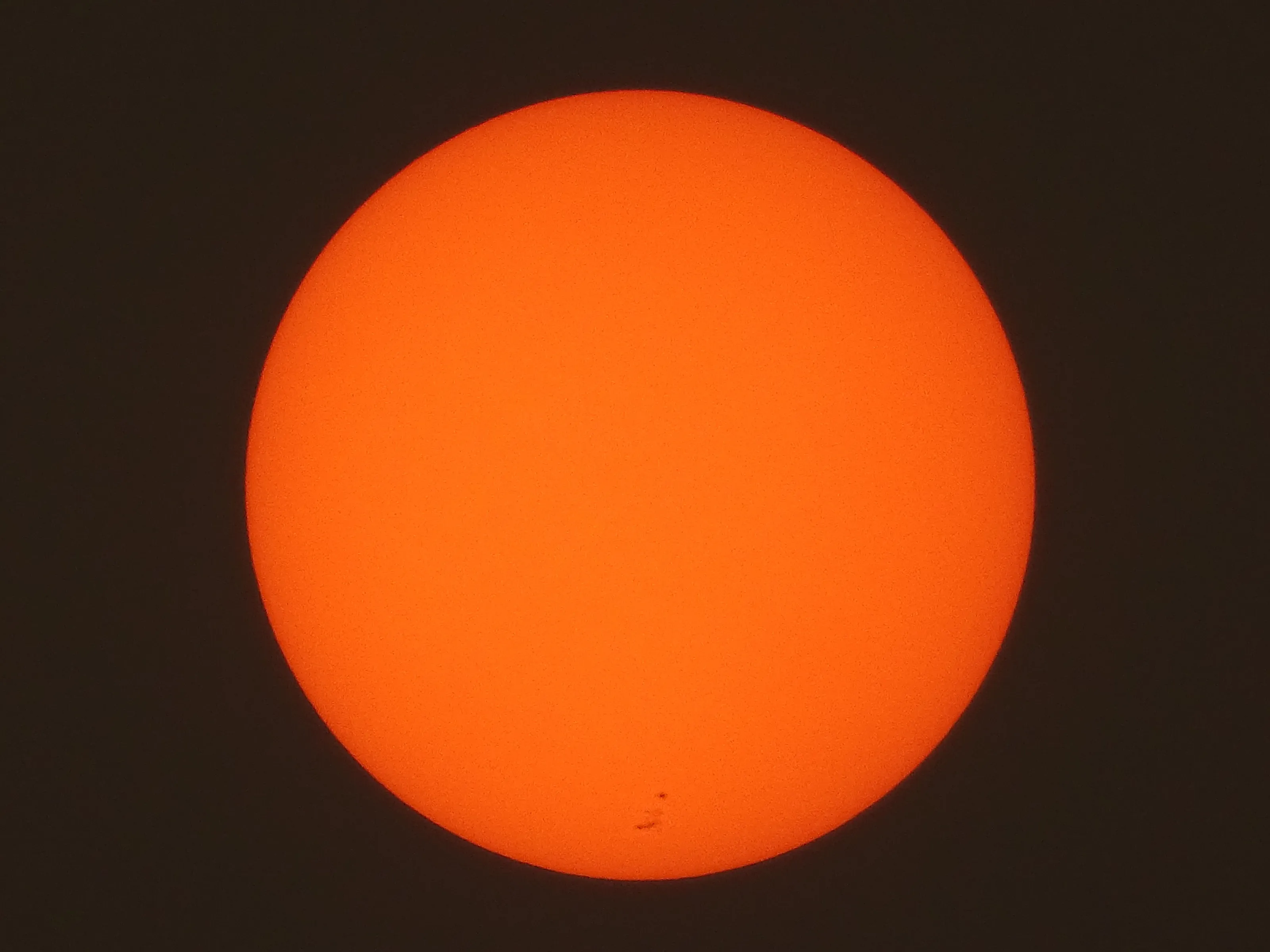 the sun at sunset