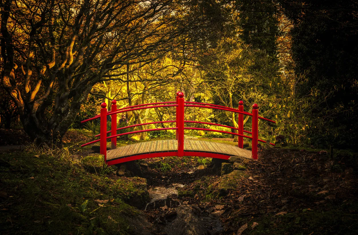 Entry 7948098