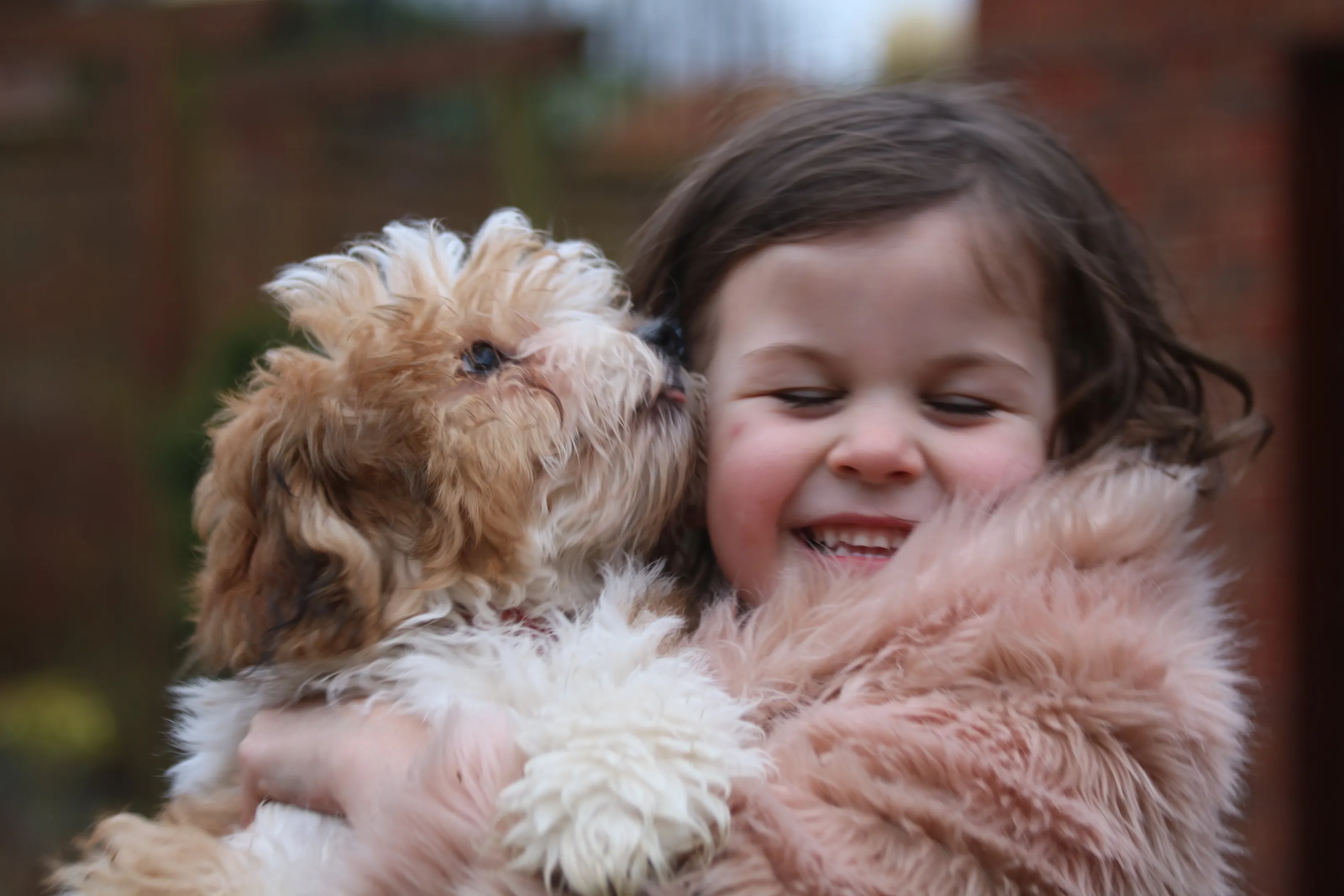 Puppy love
