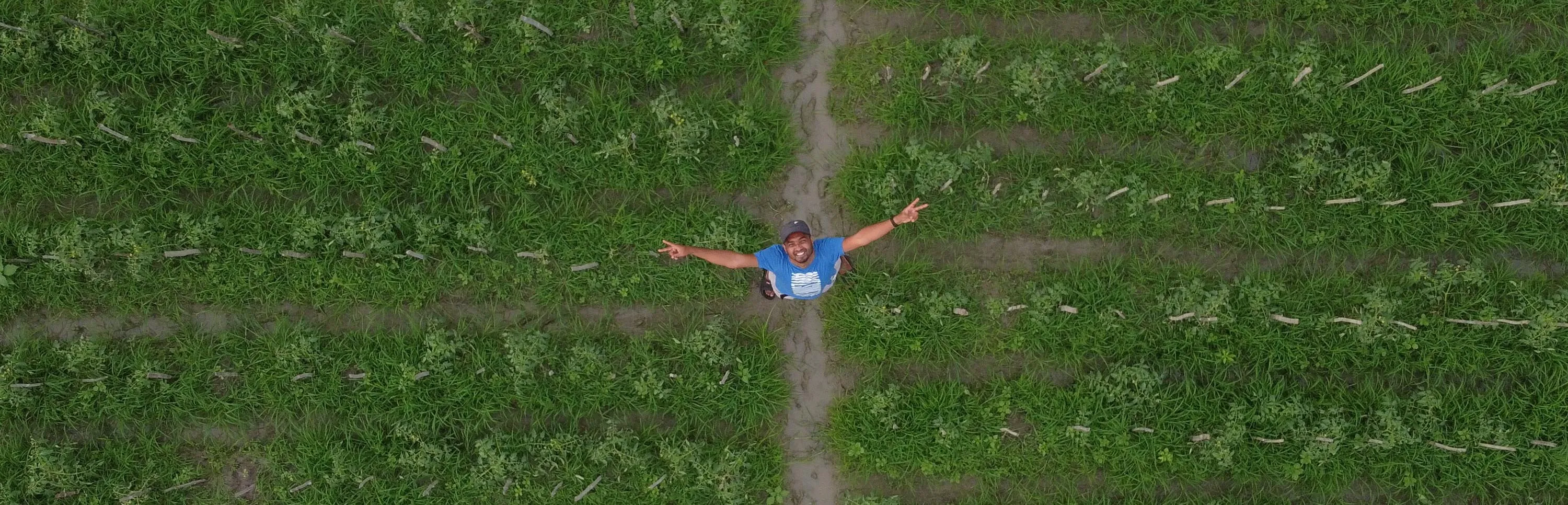 Banner image