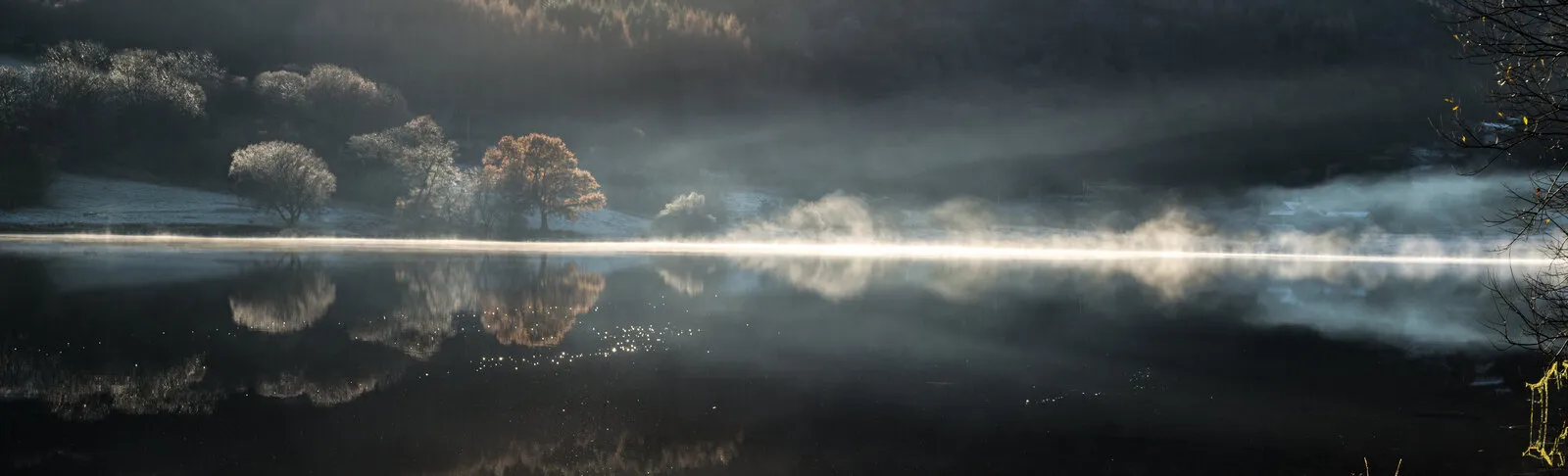 Crafnant Reflects