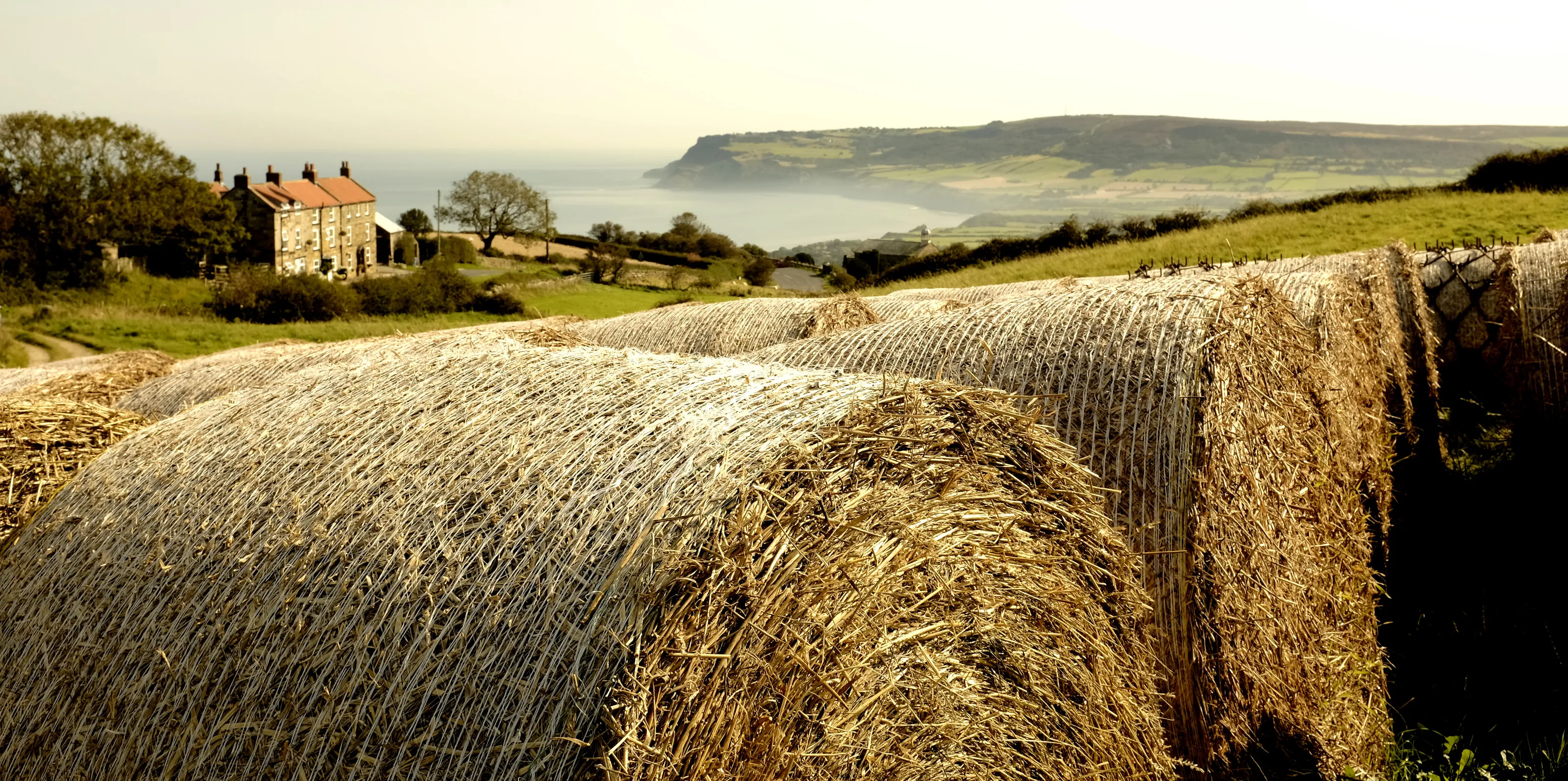 ROBINHOODSBAY