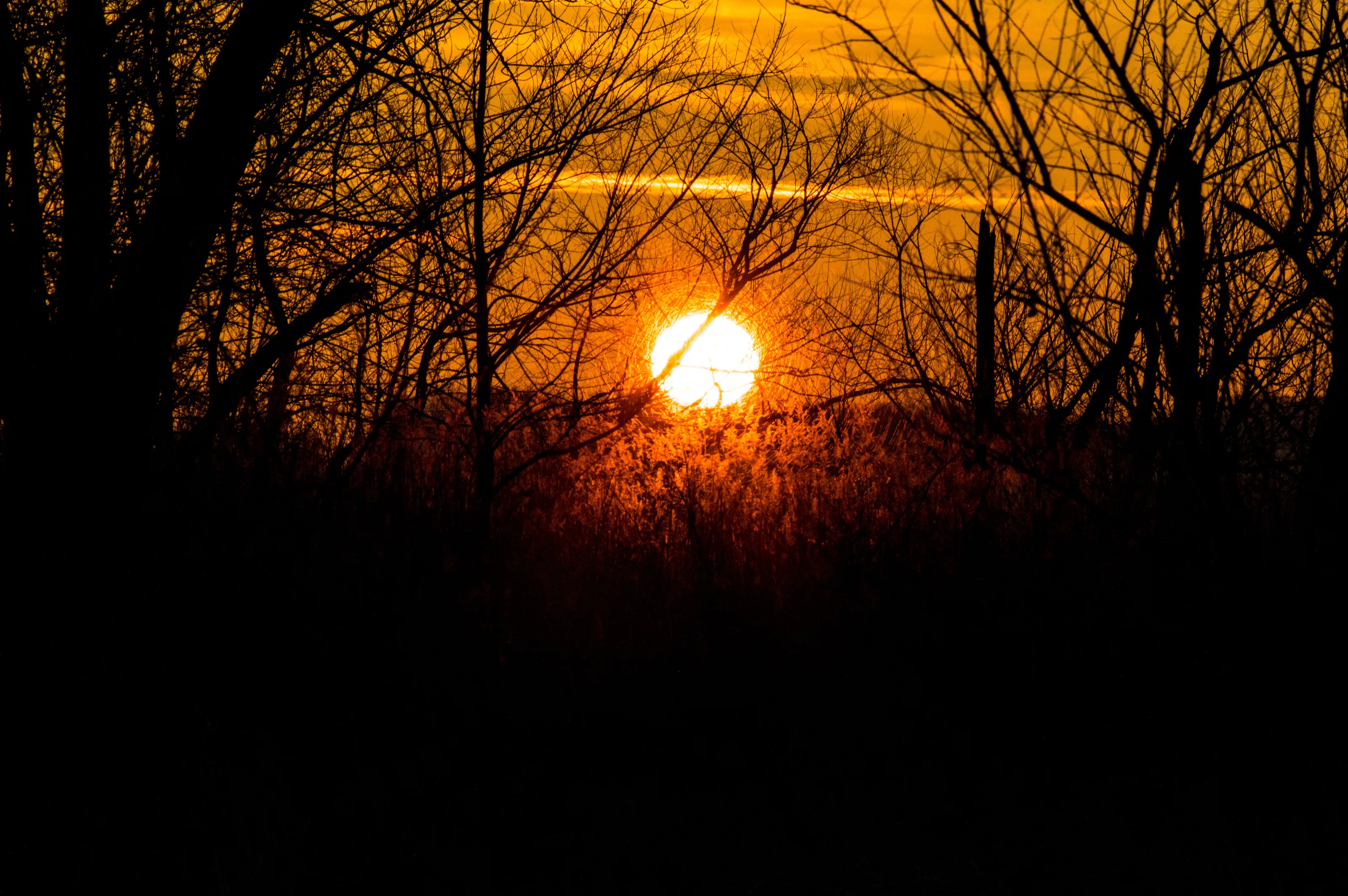 Early Morning Sunrise