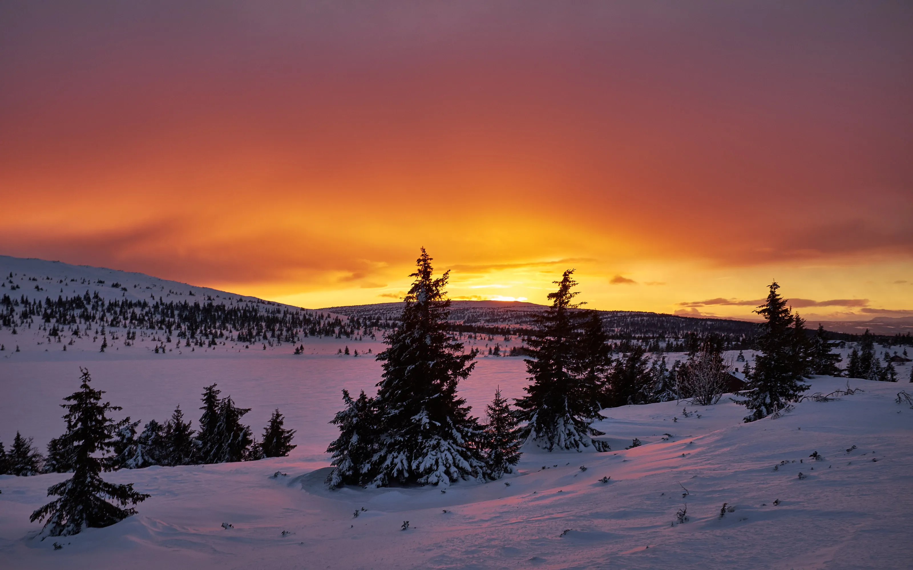 Winter in Oppland, Norway