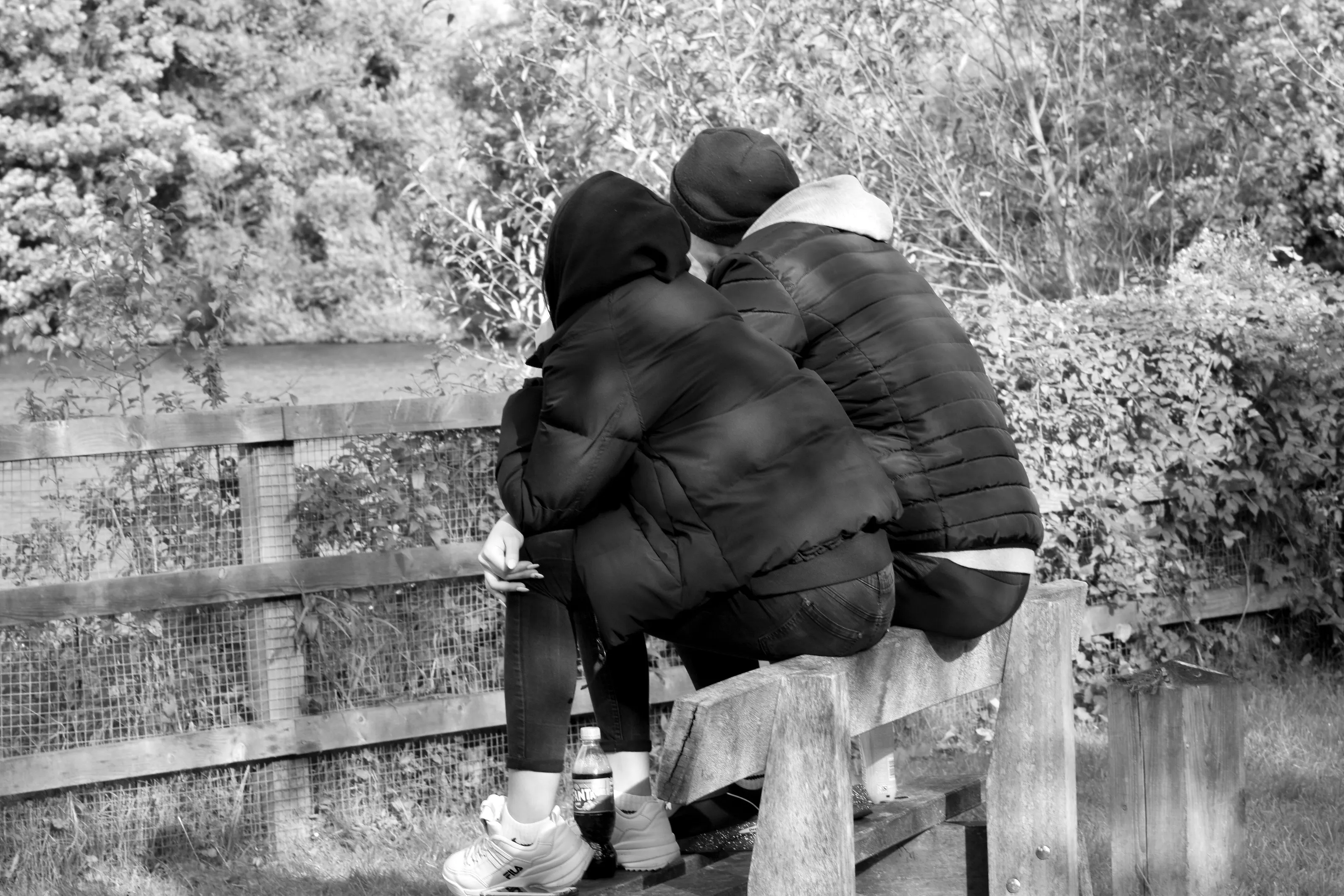 Friends