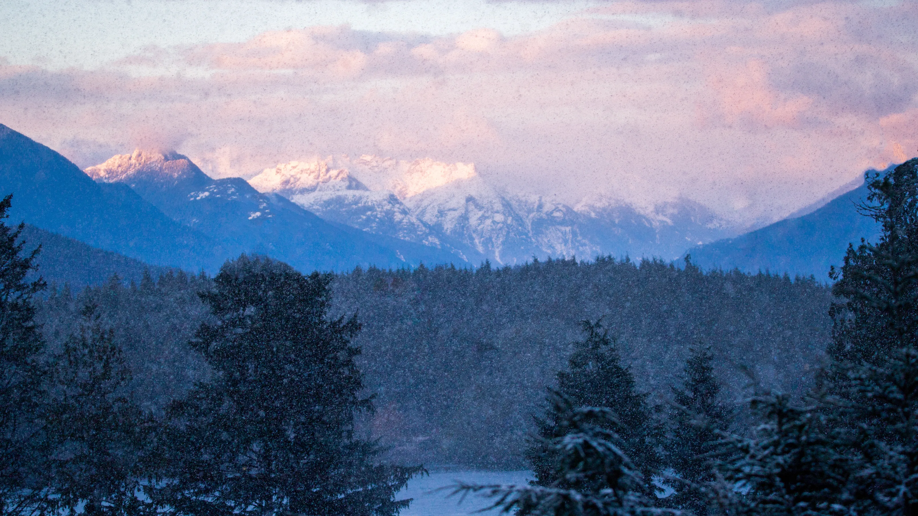 Snowy morning