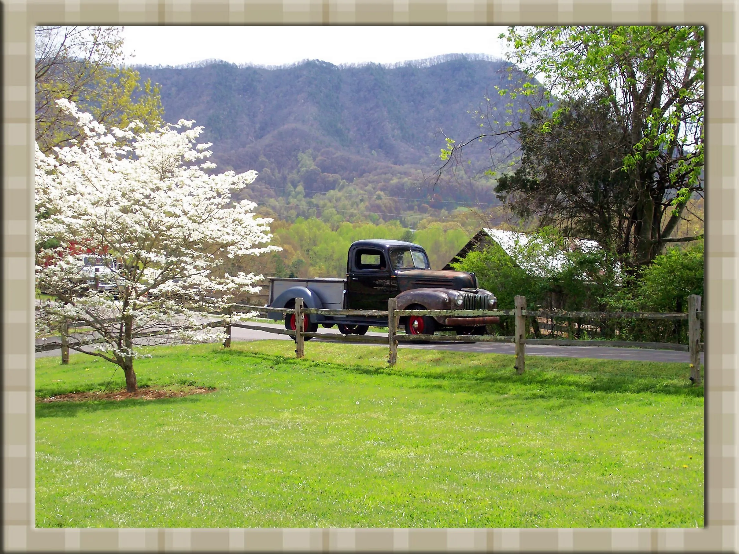 SPRING RIDE