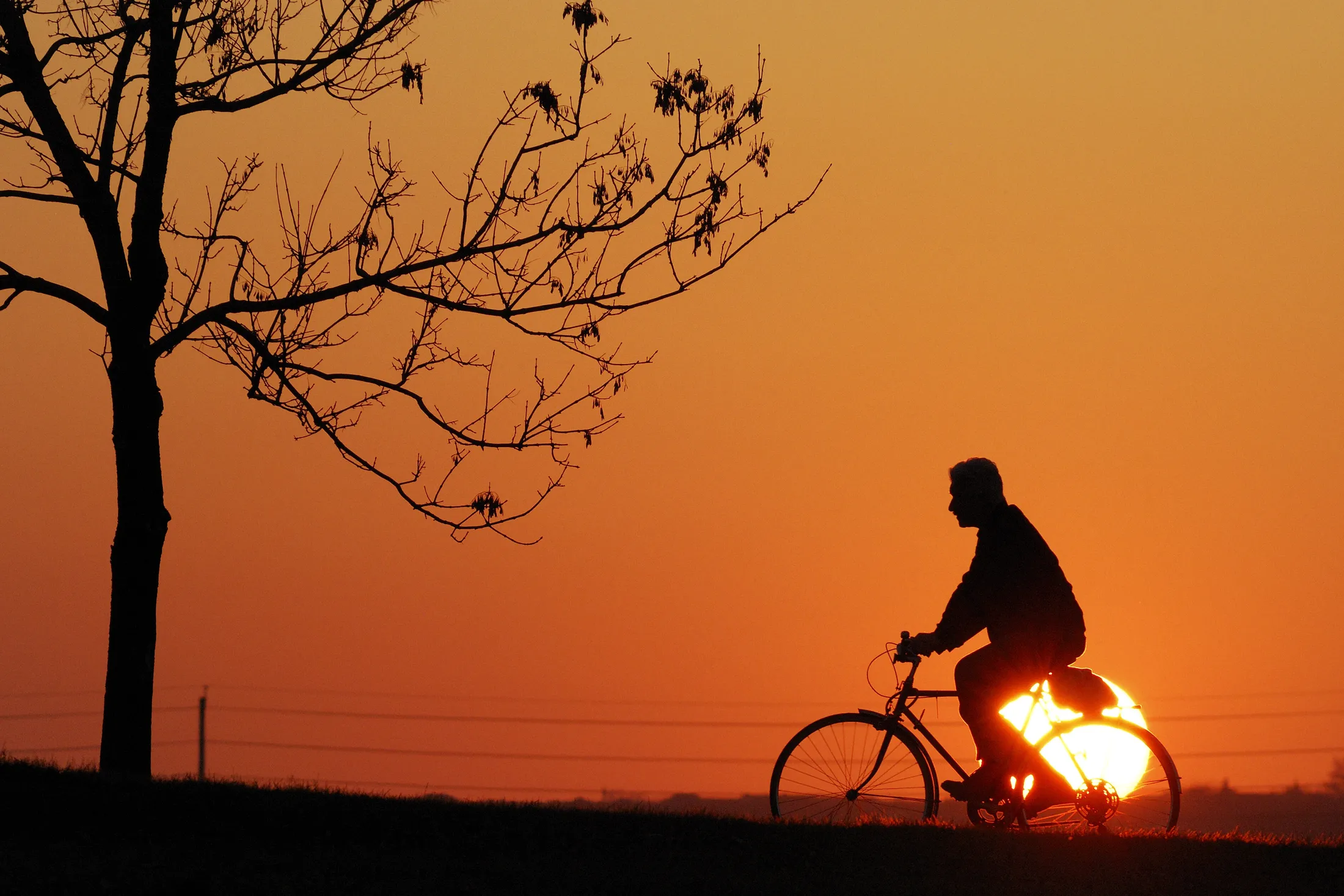 Sun Rider