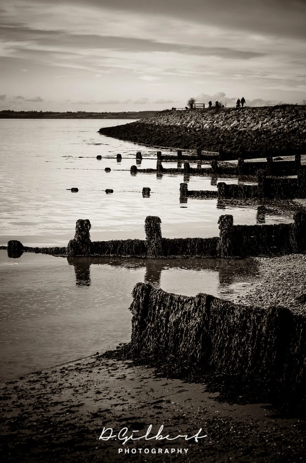 Groynes of Brightlingsea