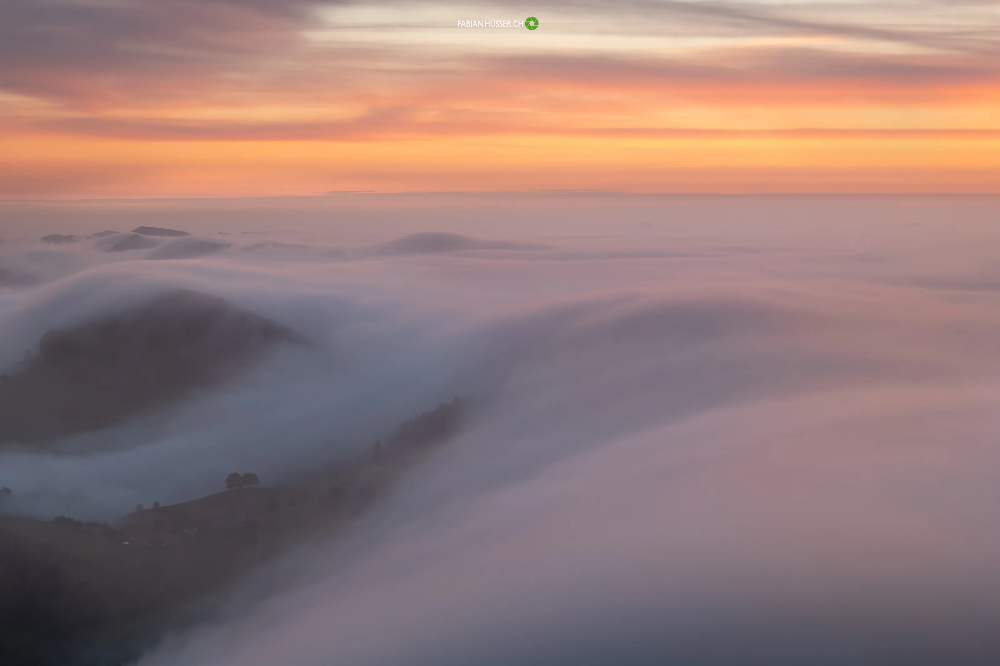 fogwave