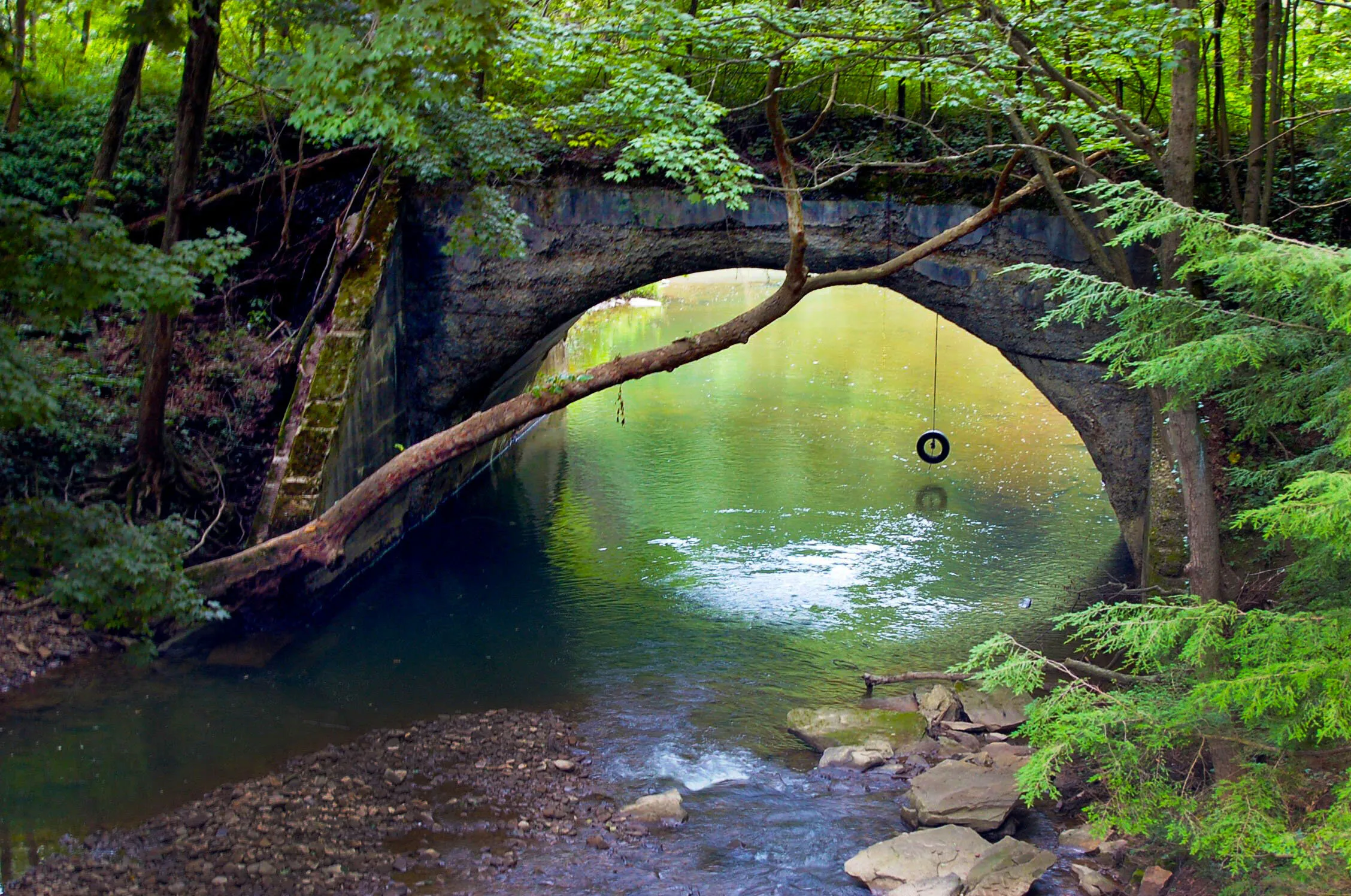 The Swimming Hole
