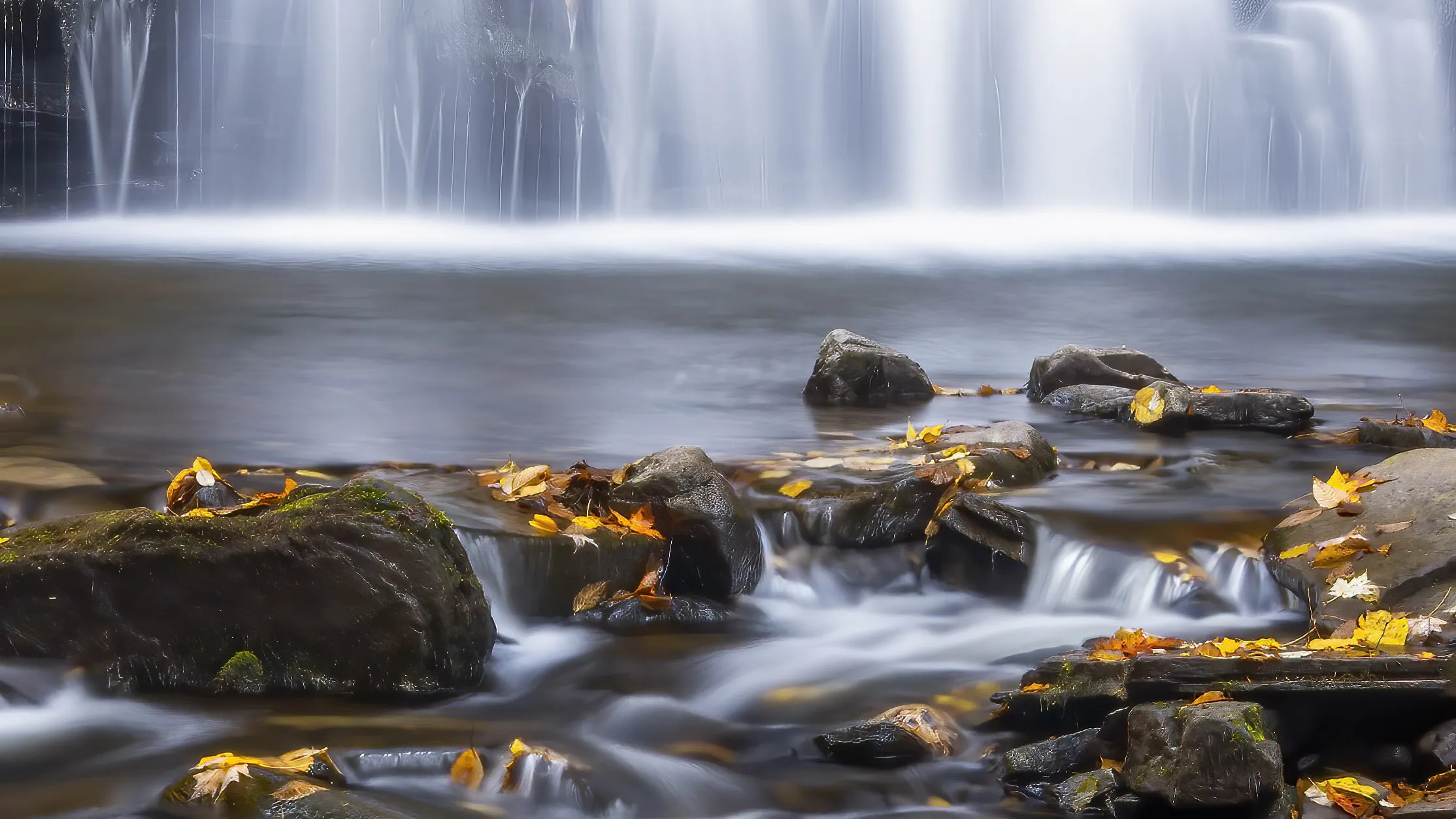 Ricketts Glen Waterfall closeup