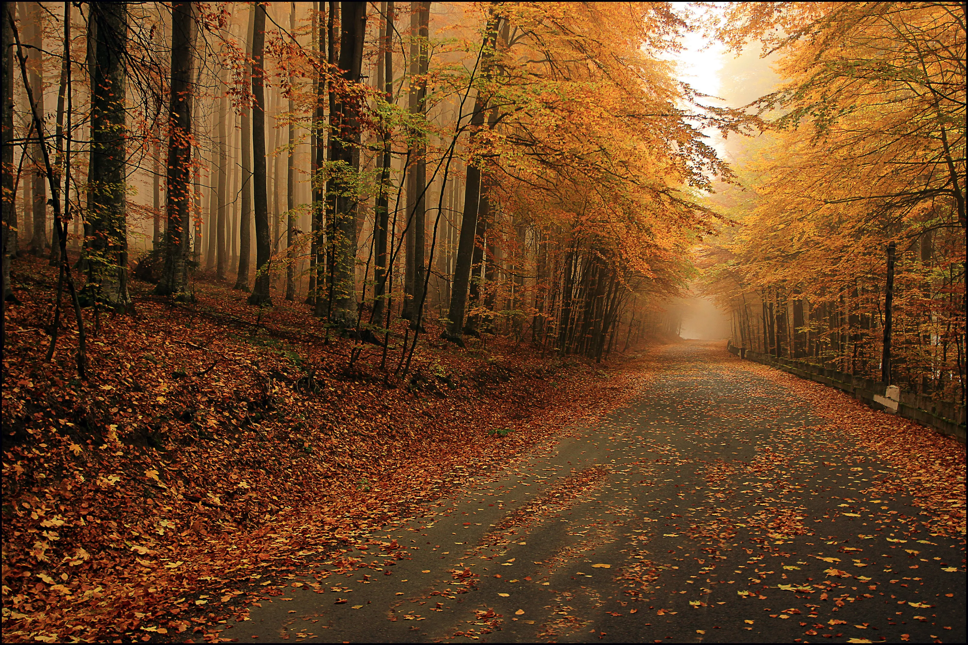 Scent of autumn