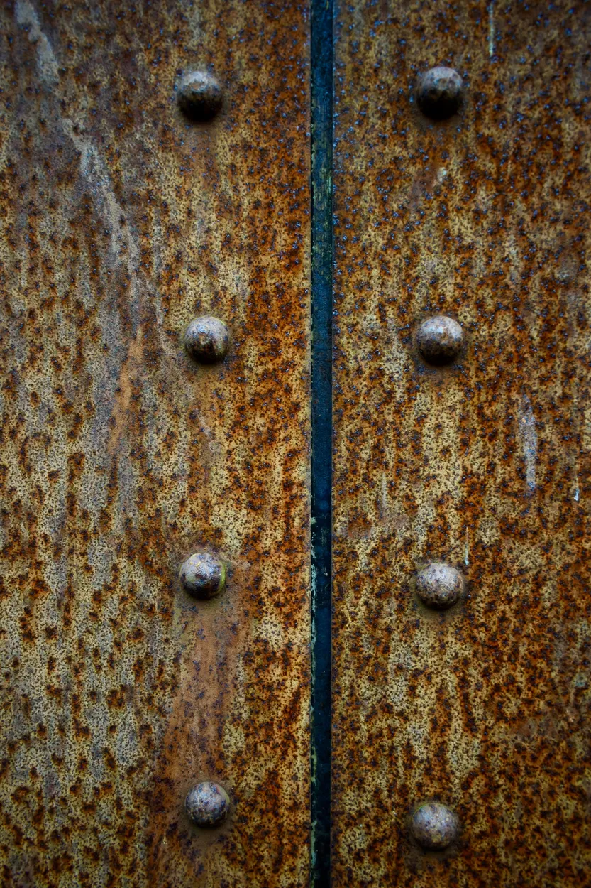 Entry 11135454