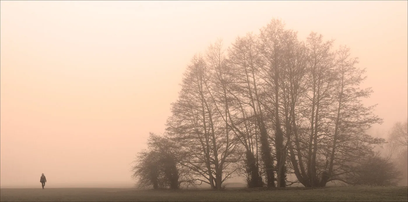 Early Morning Walker