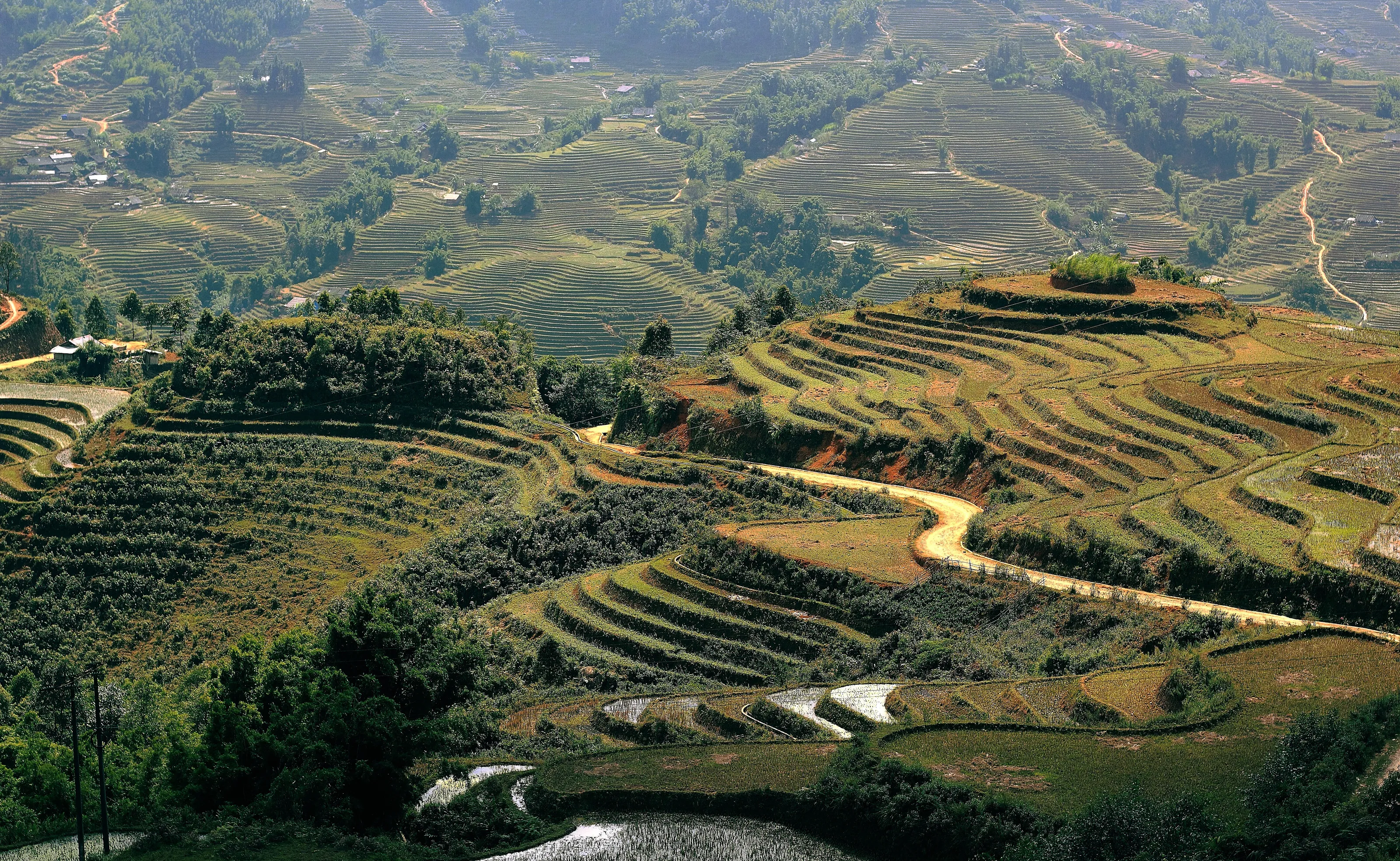 Sa Pa rice paddies. Vietnam