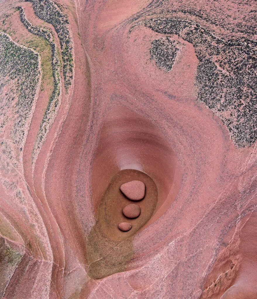 Entry 8009452