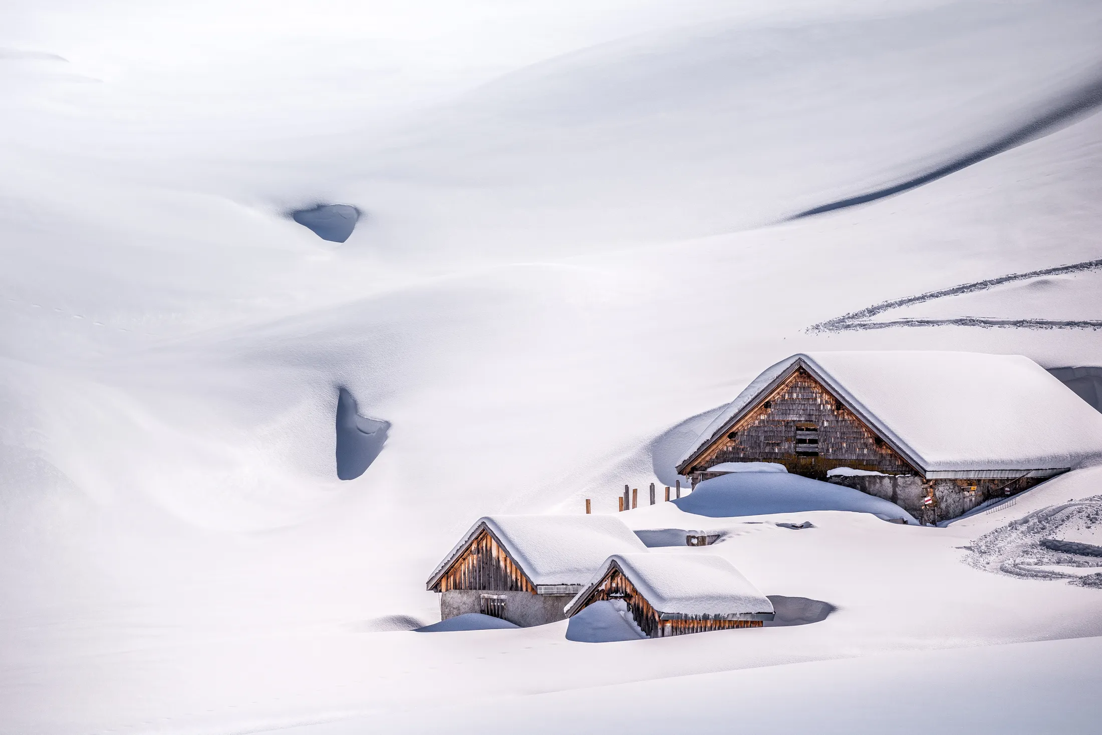 Snowy carpet