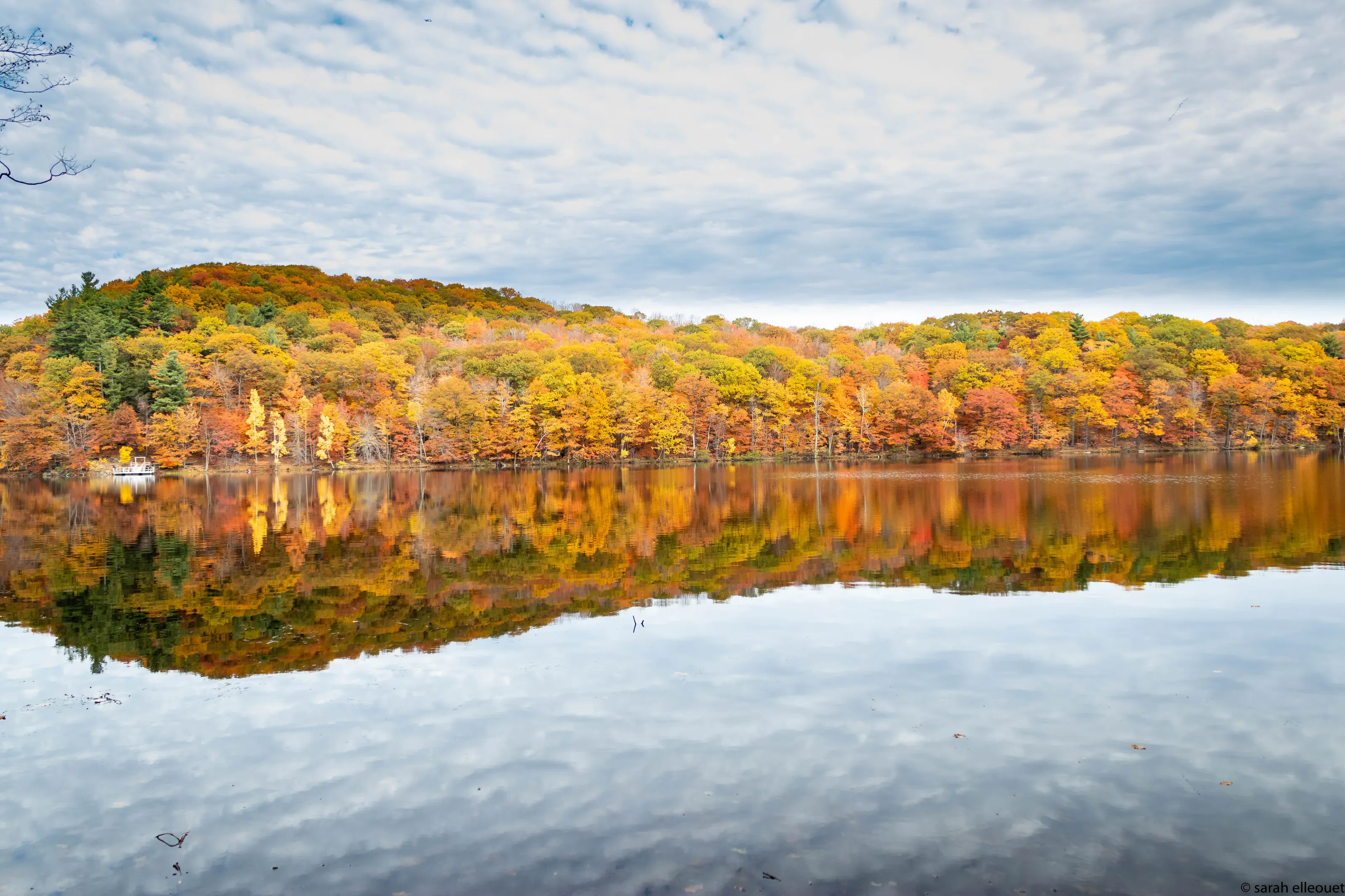Autumn season