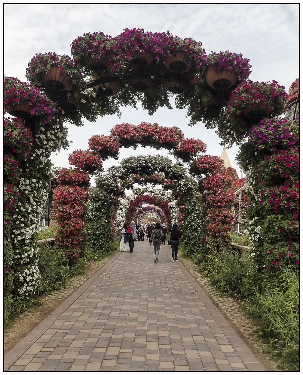 Entry 8023545