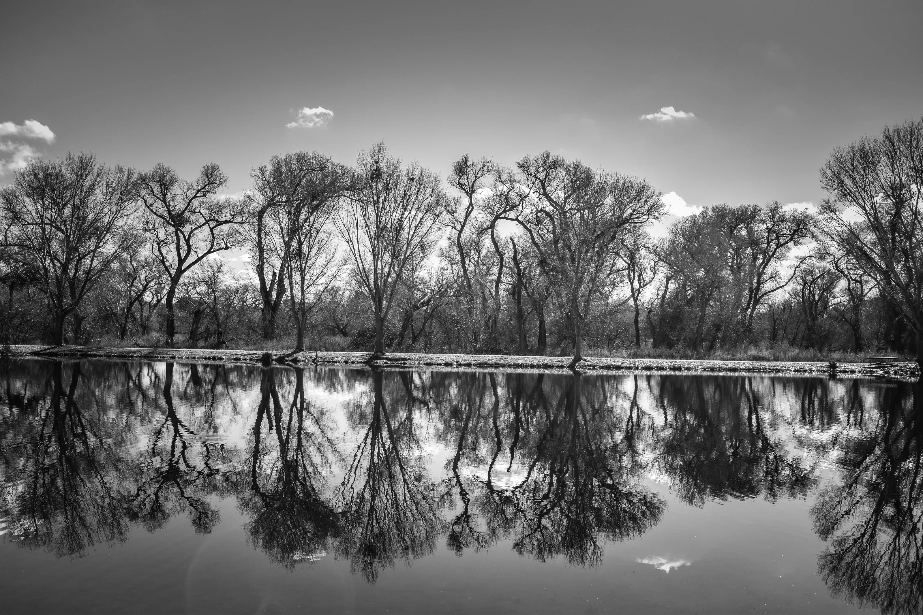 Mirror Reflection