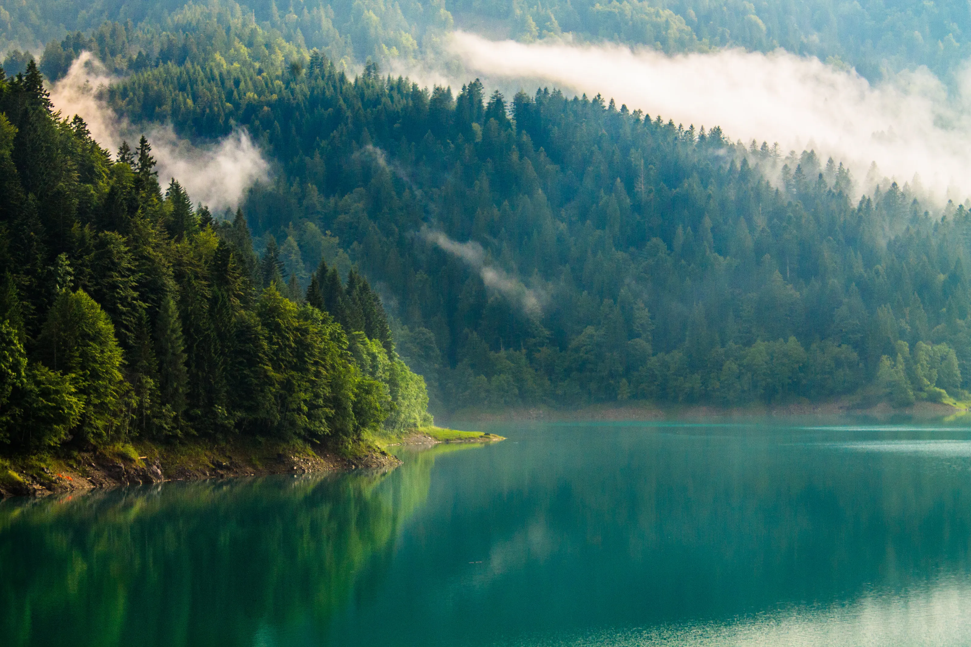 Sauris lake