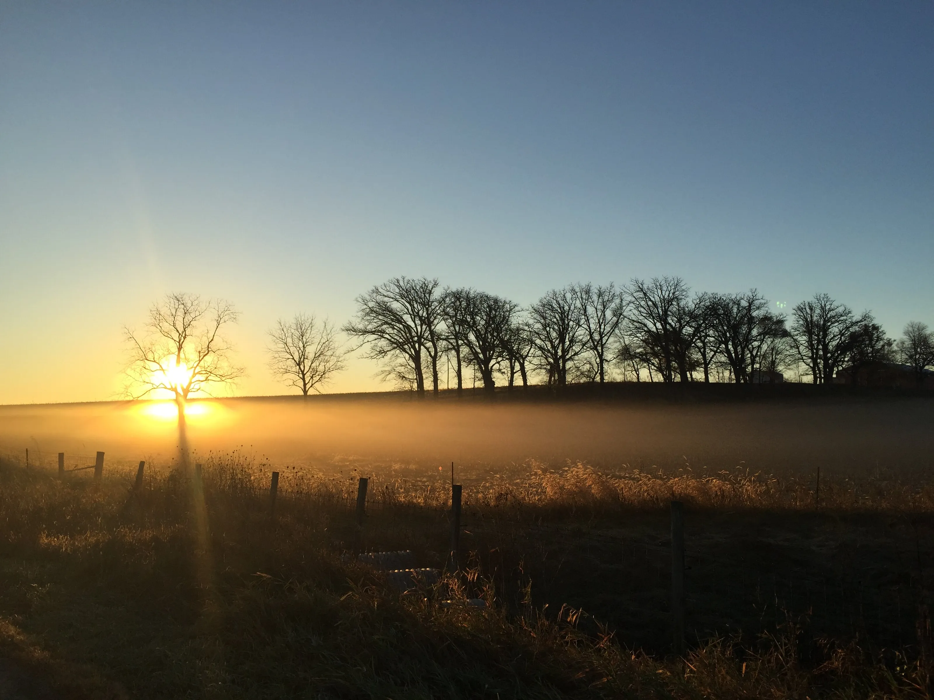 At Dawn