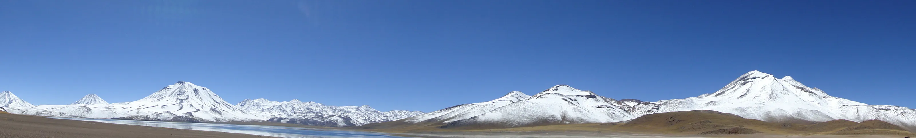 Atacama desert after rain