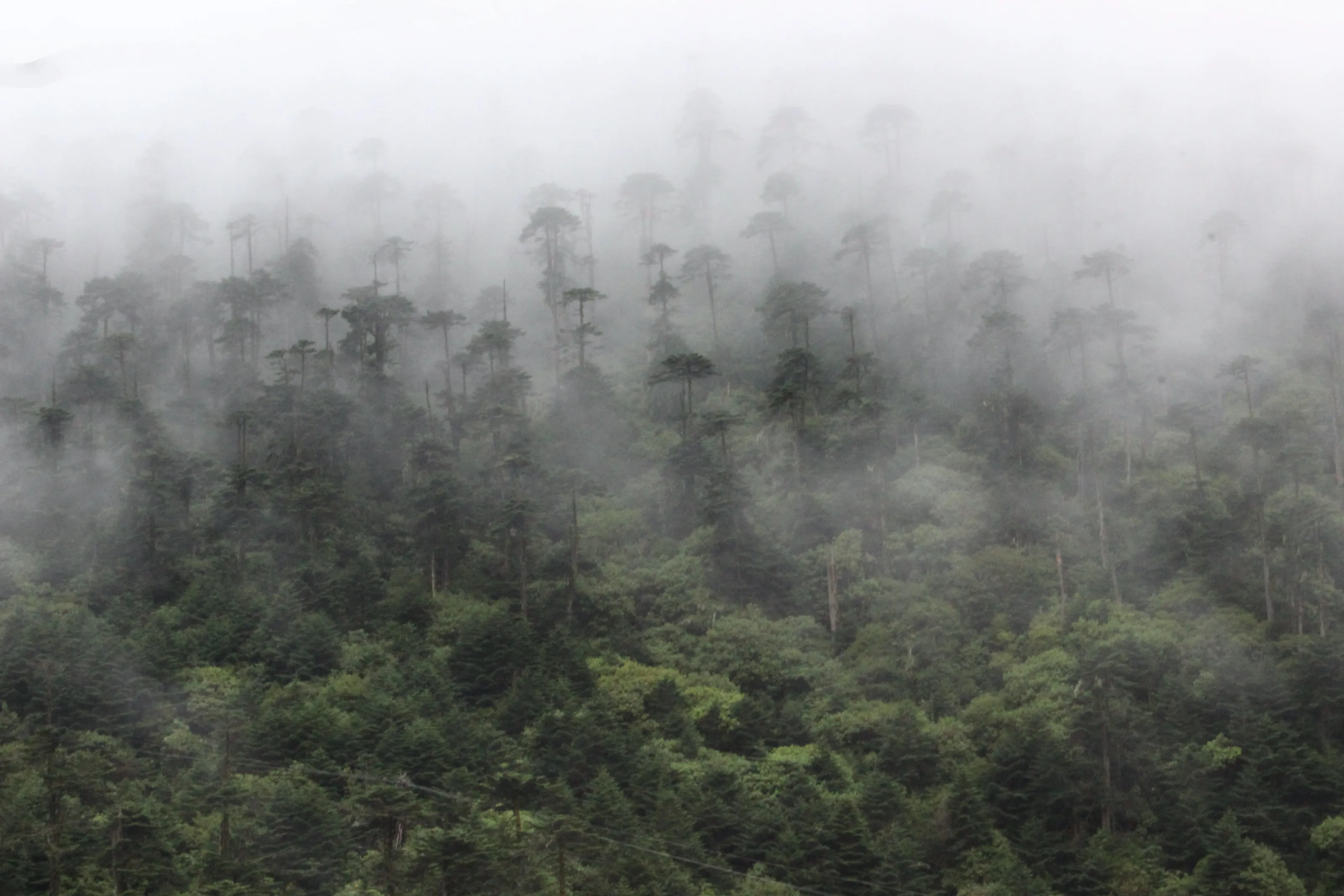 Misty Mountains