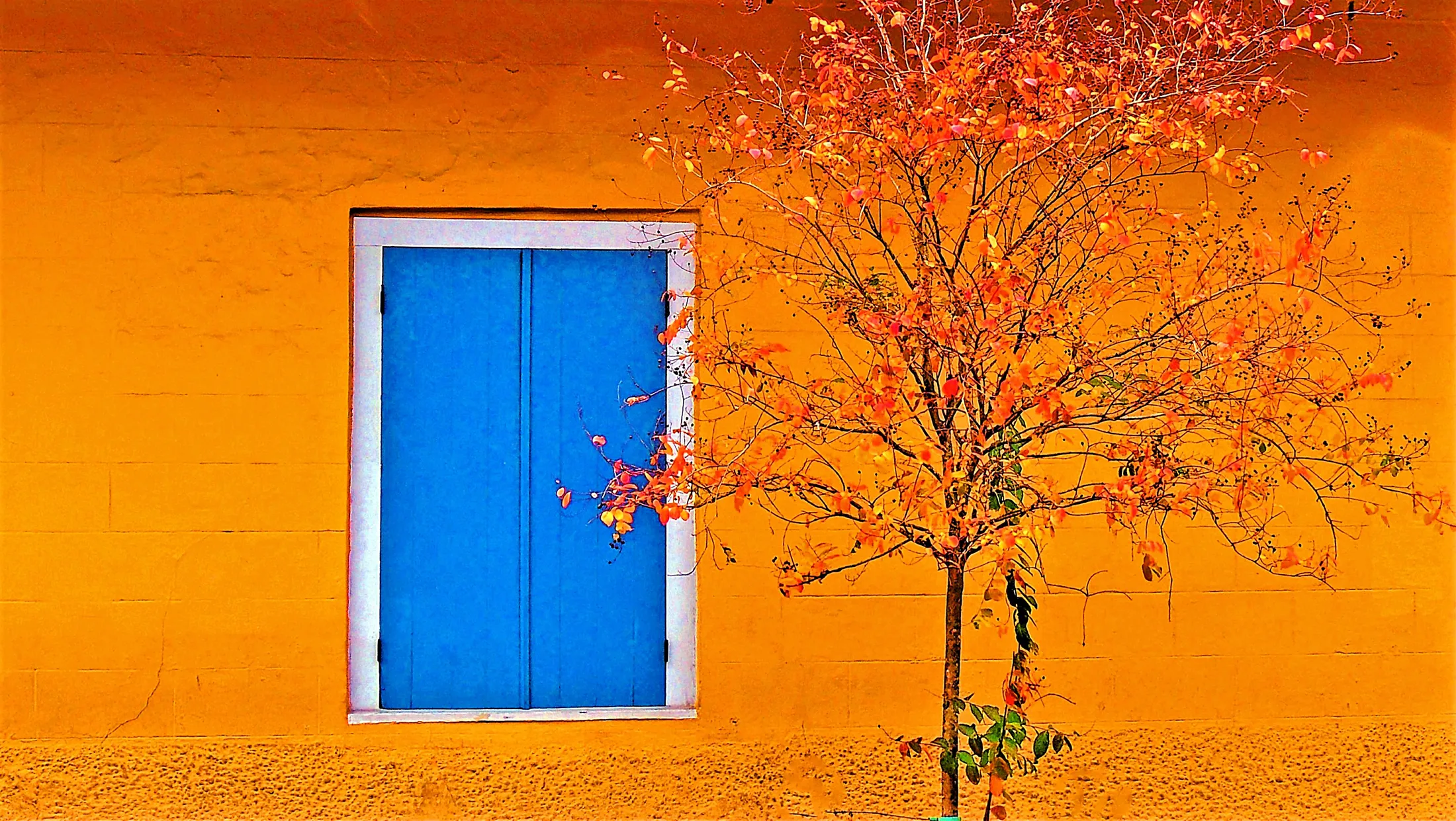 Entry 11090502
