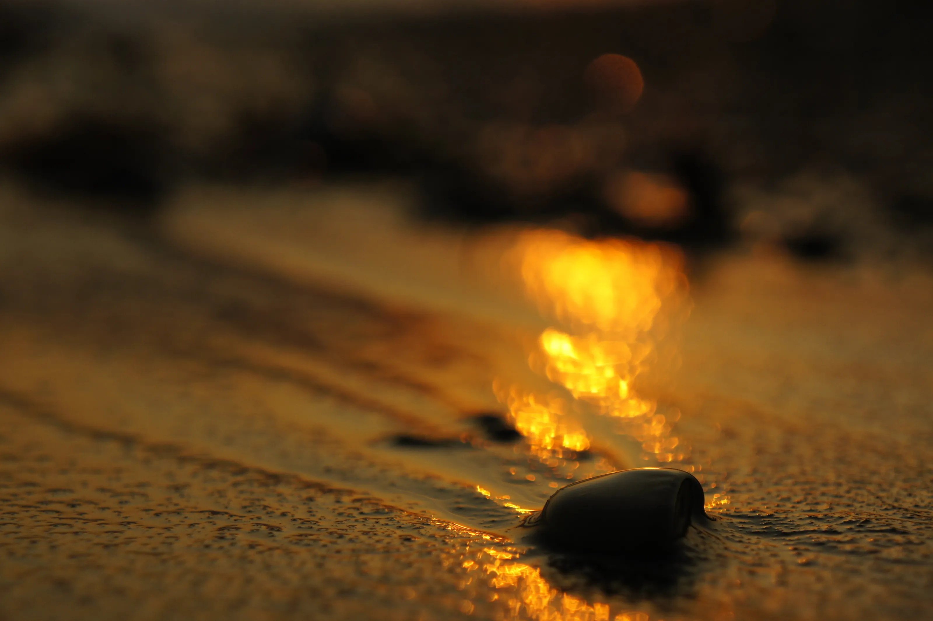 reflections of sunset light