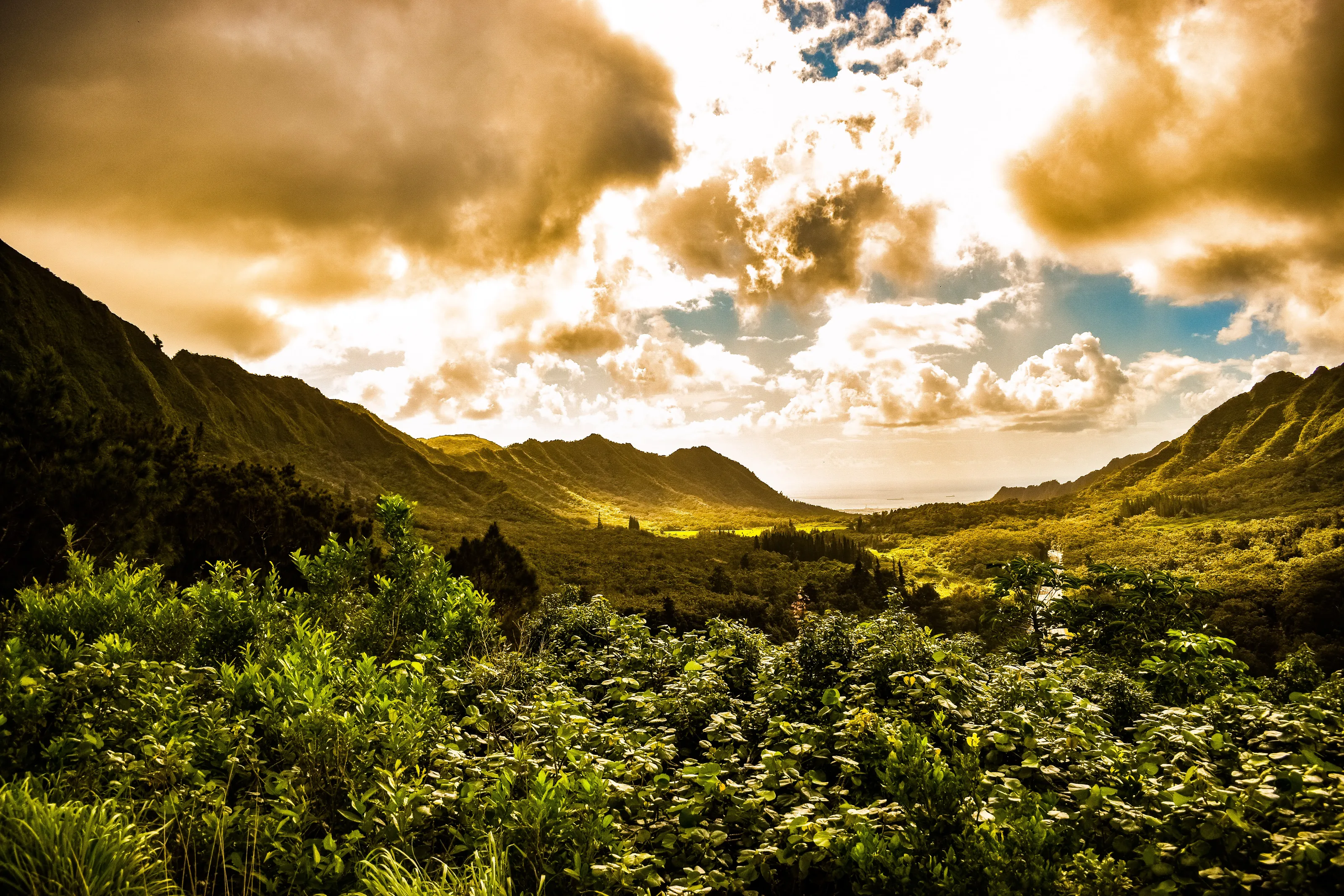 Pali puka hawaii