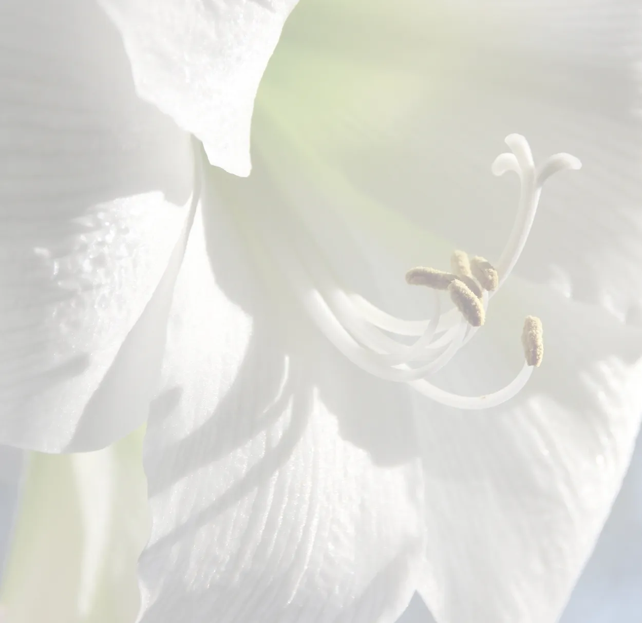 Entry 18020105