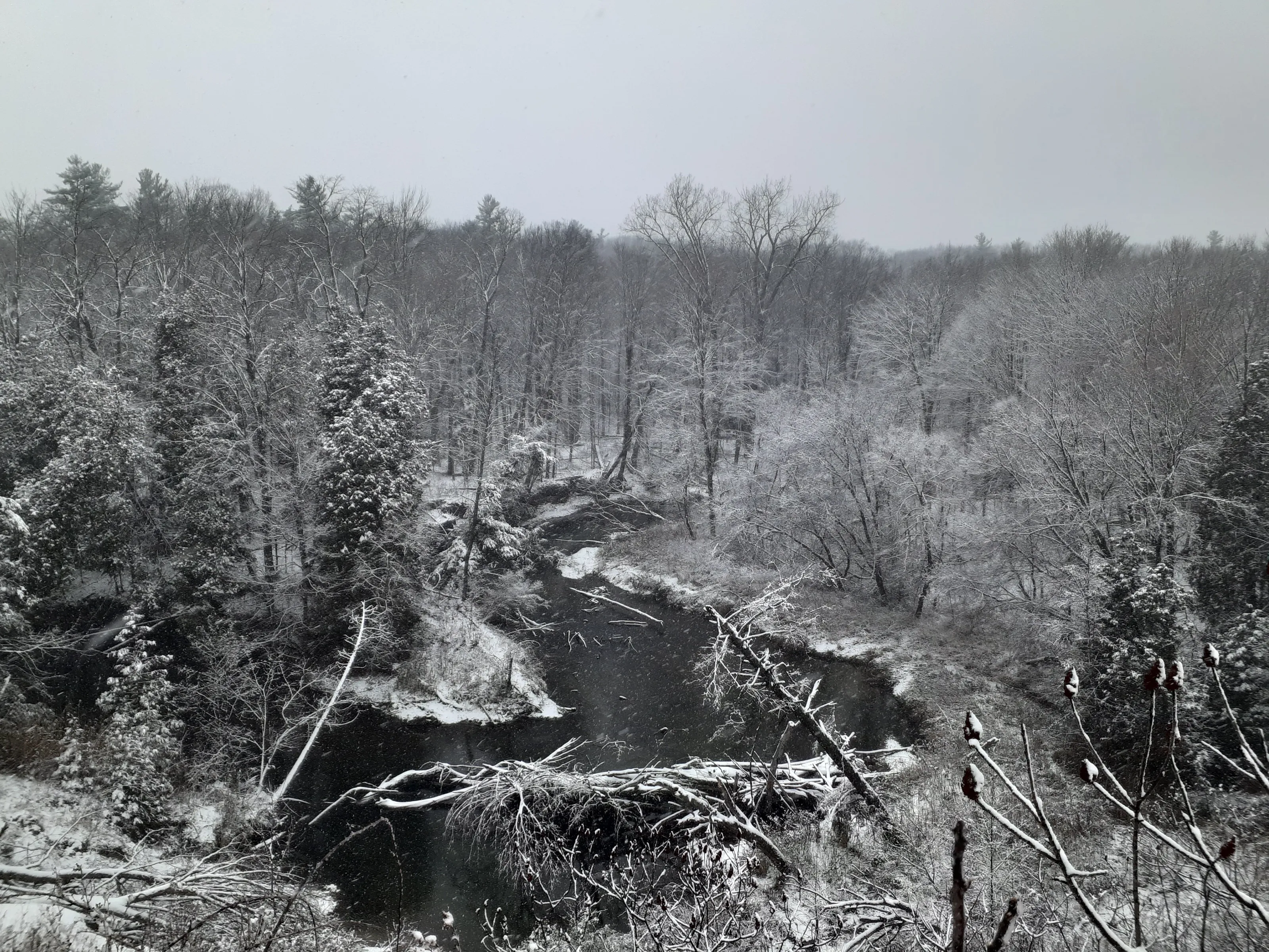 A Winter Escape