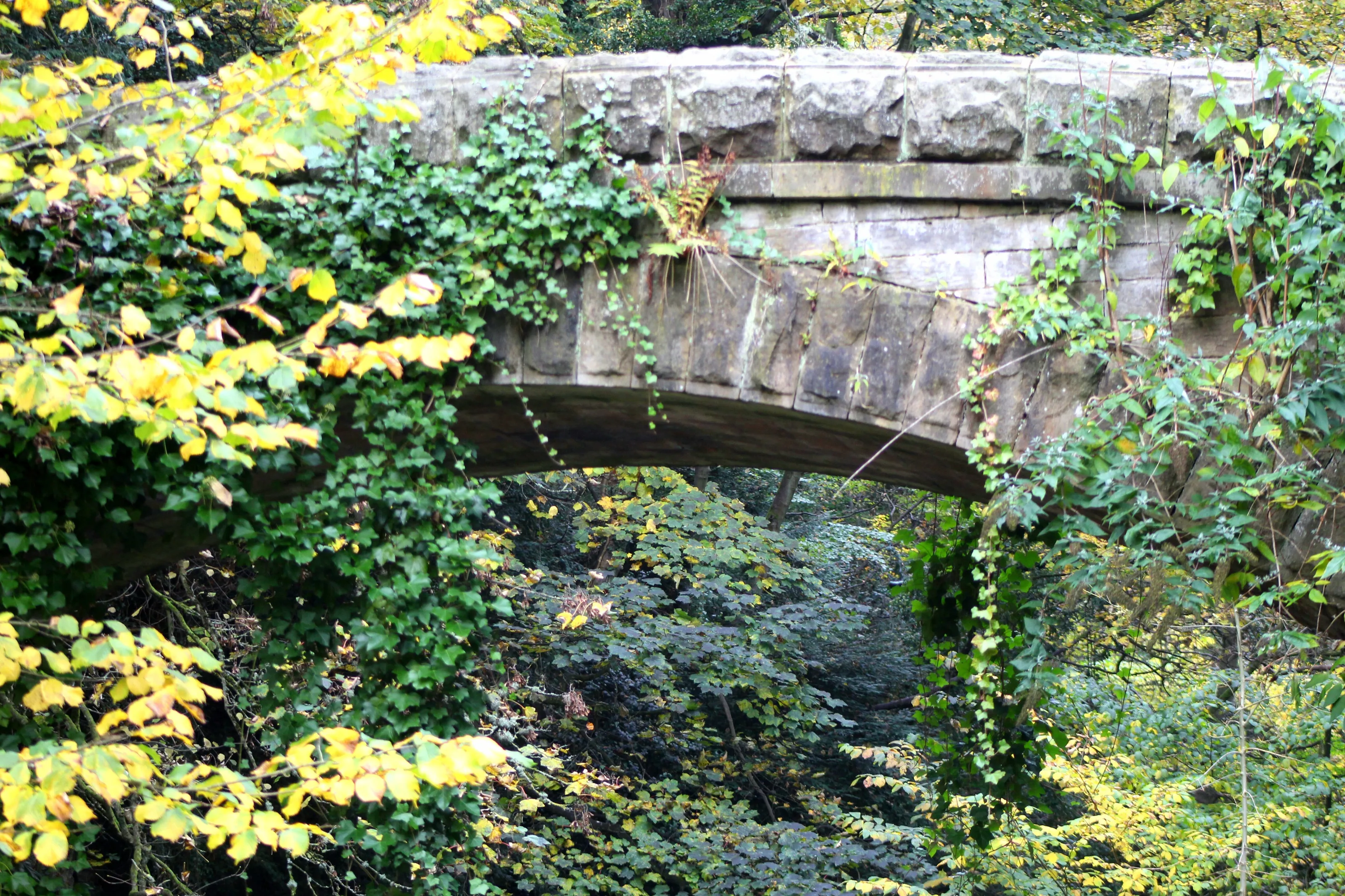 Pretty arch