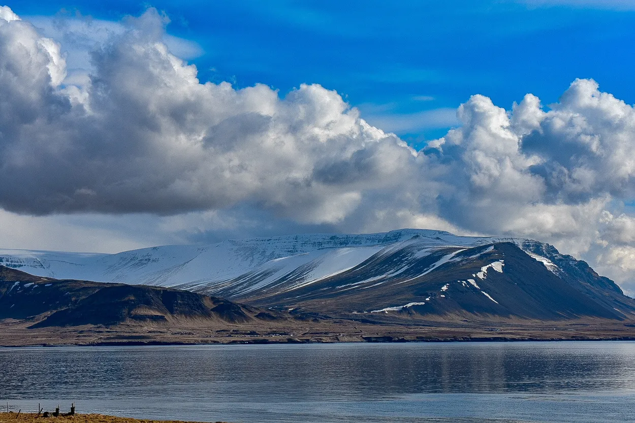 Entry 8079740