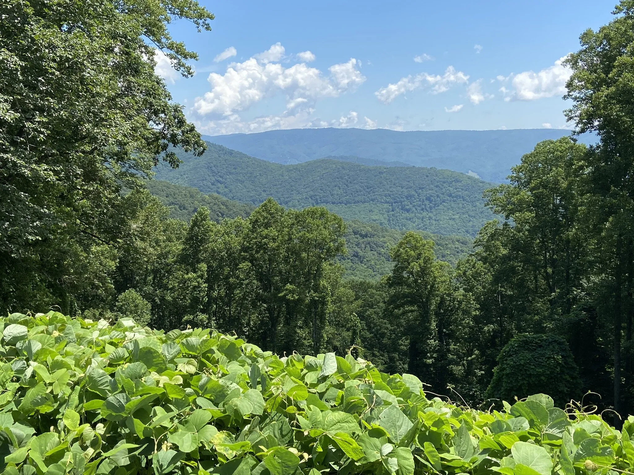 Window To A Dream