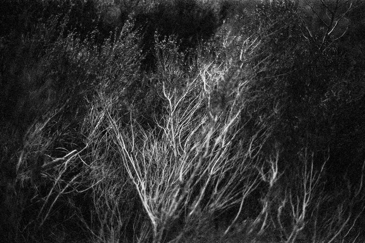 The Lamentation, 2016 © Anna Poreda
