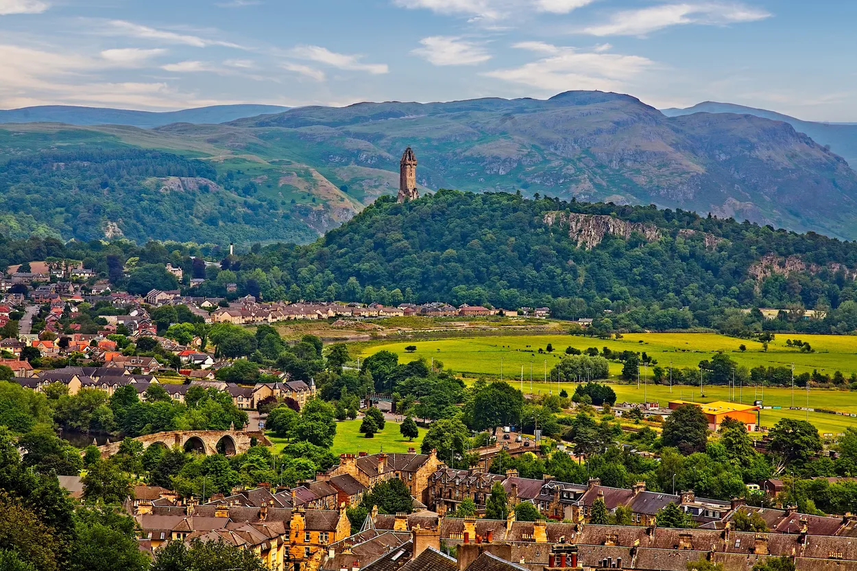 Entry 8103131