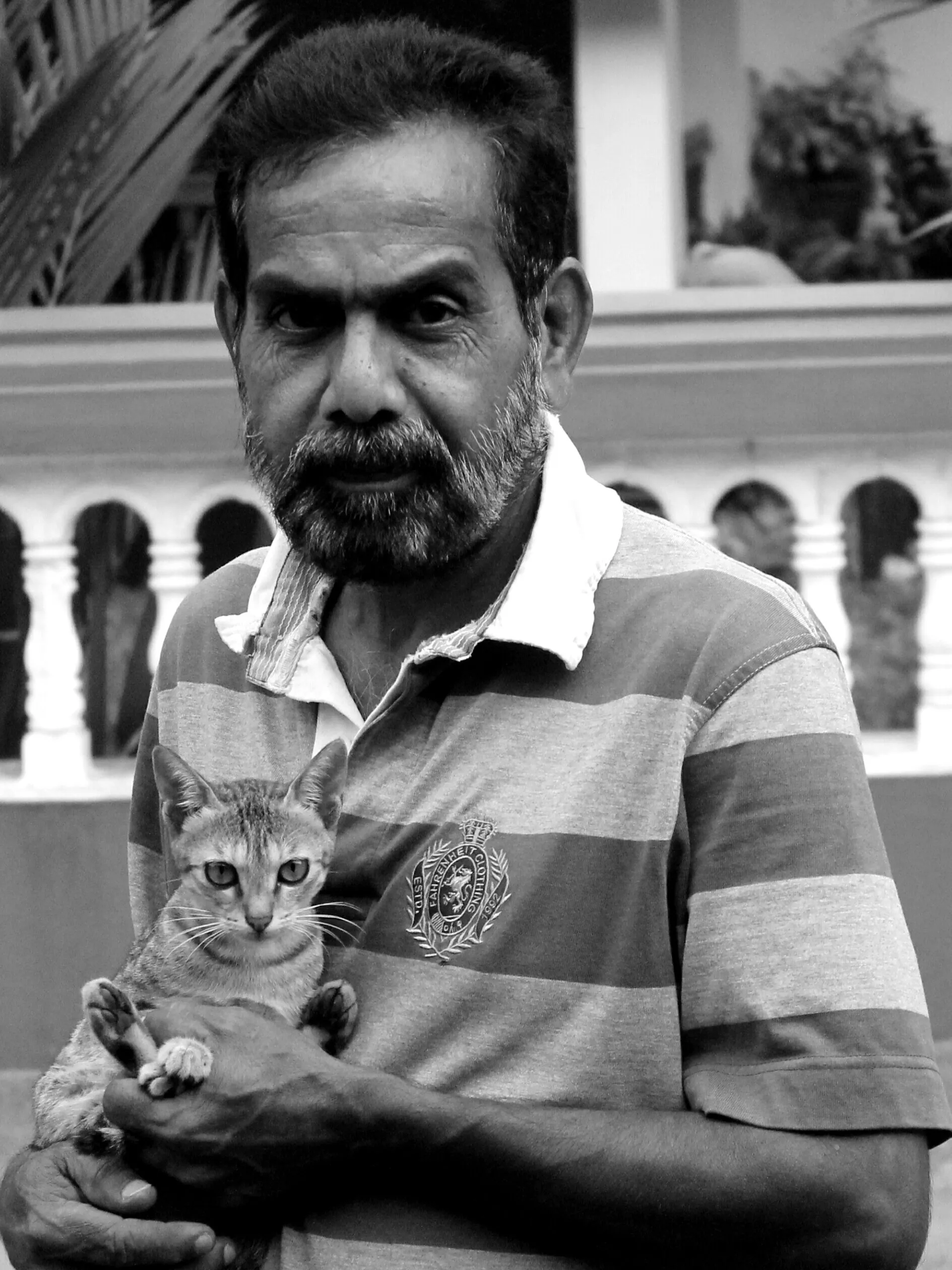 Cat person