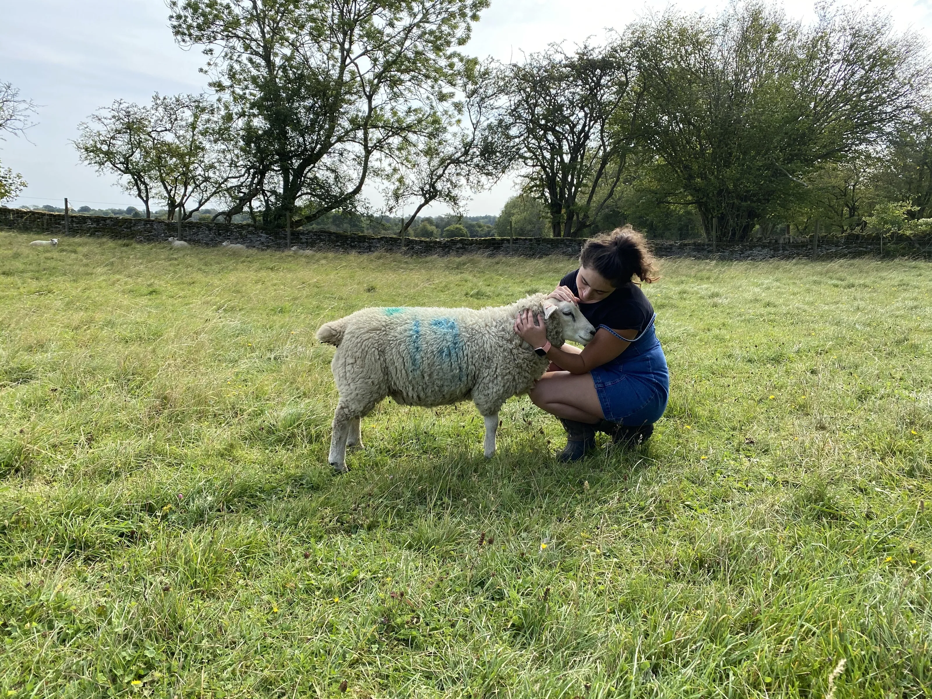 Lamby Love - Number 13