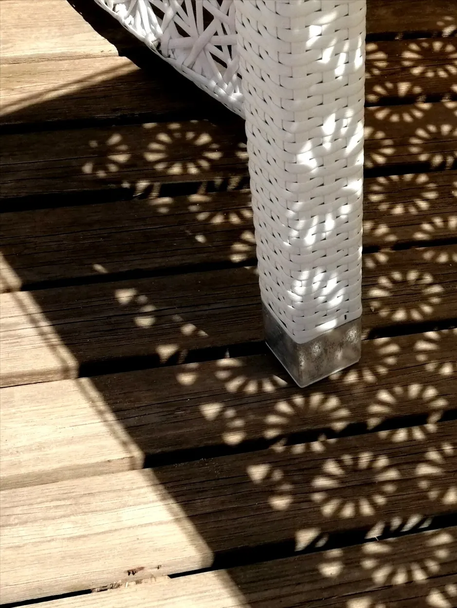 Entry 8116091