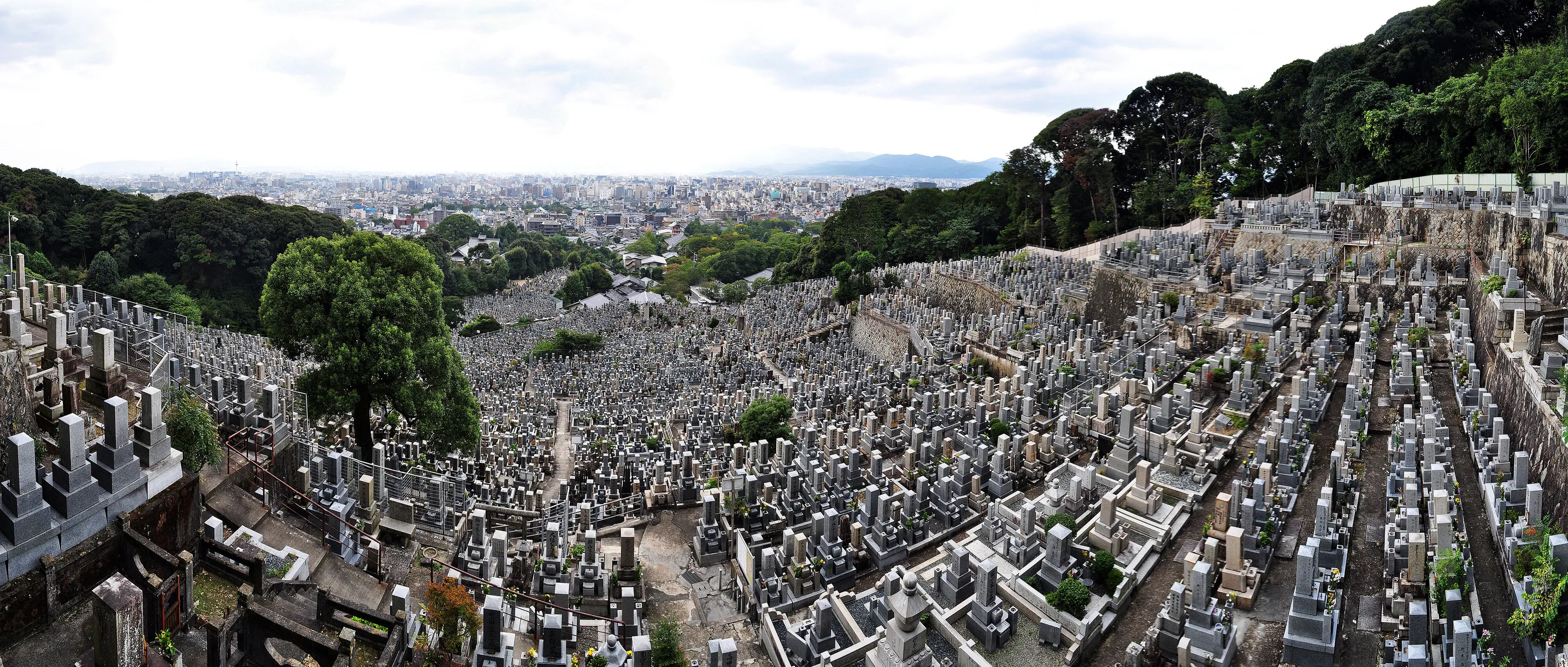 City of the Dead - vs - City of the Living