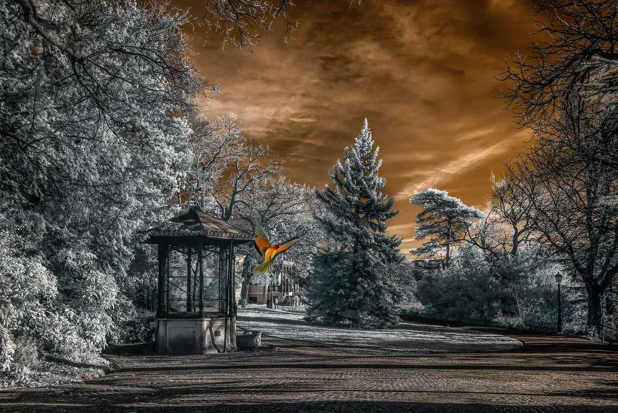 Entry 11426256