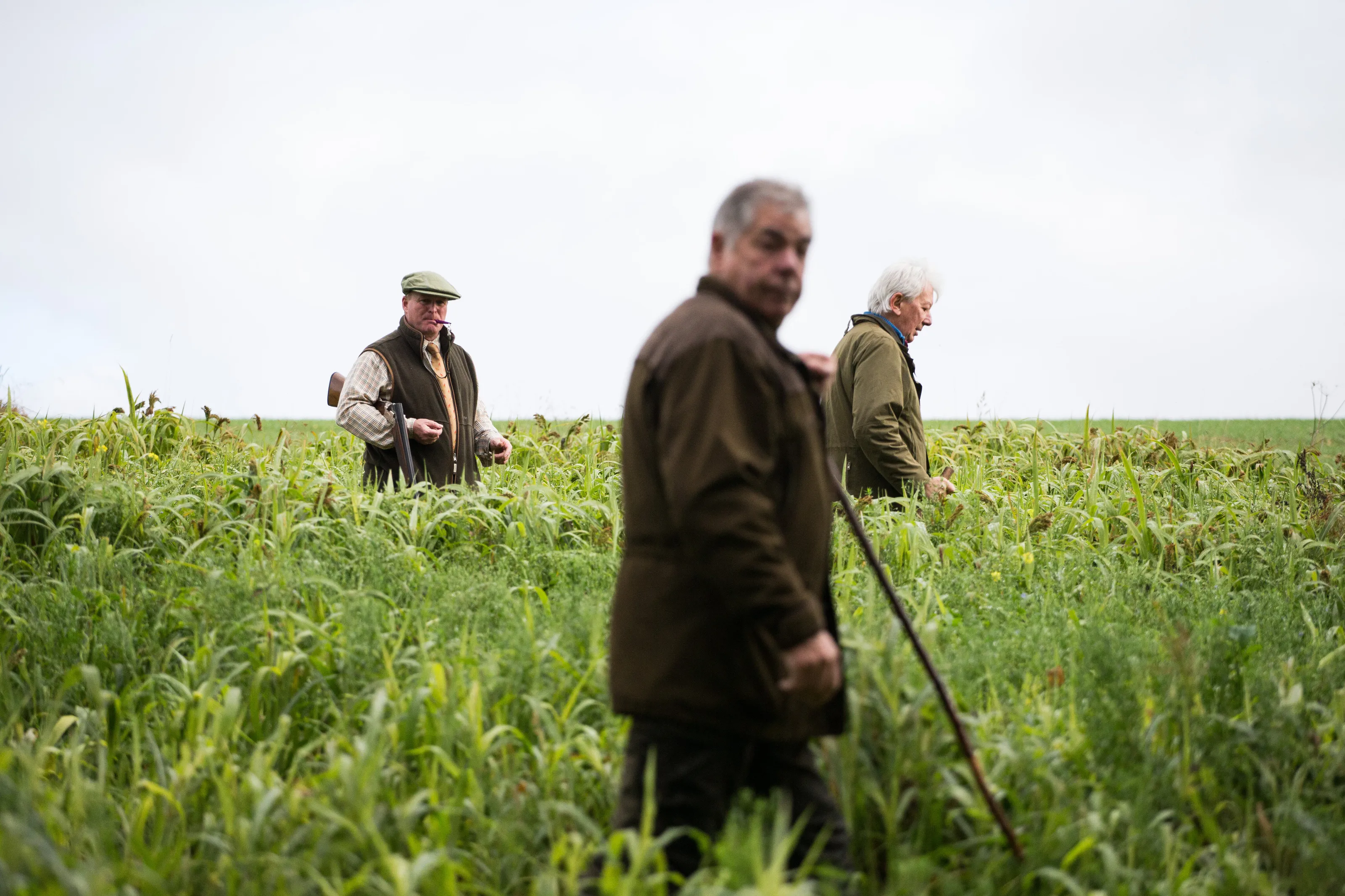 The Honeycombe Shoot