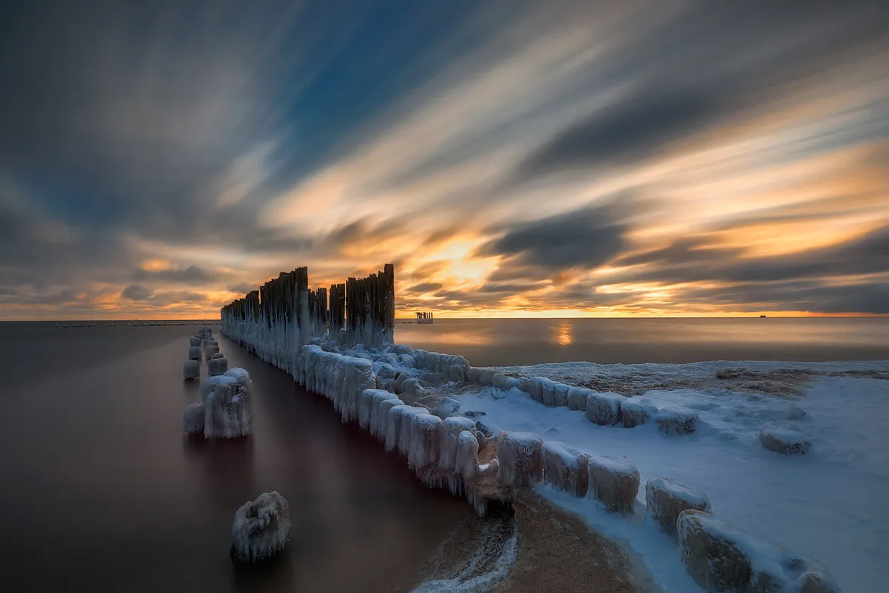 Entry 11856280
